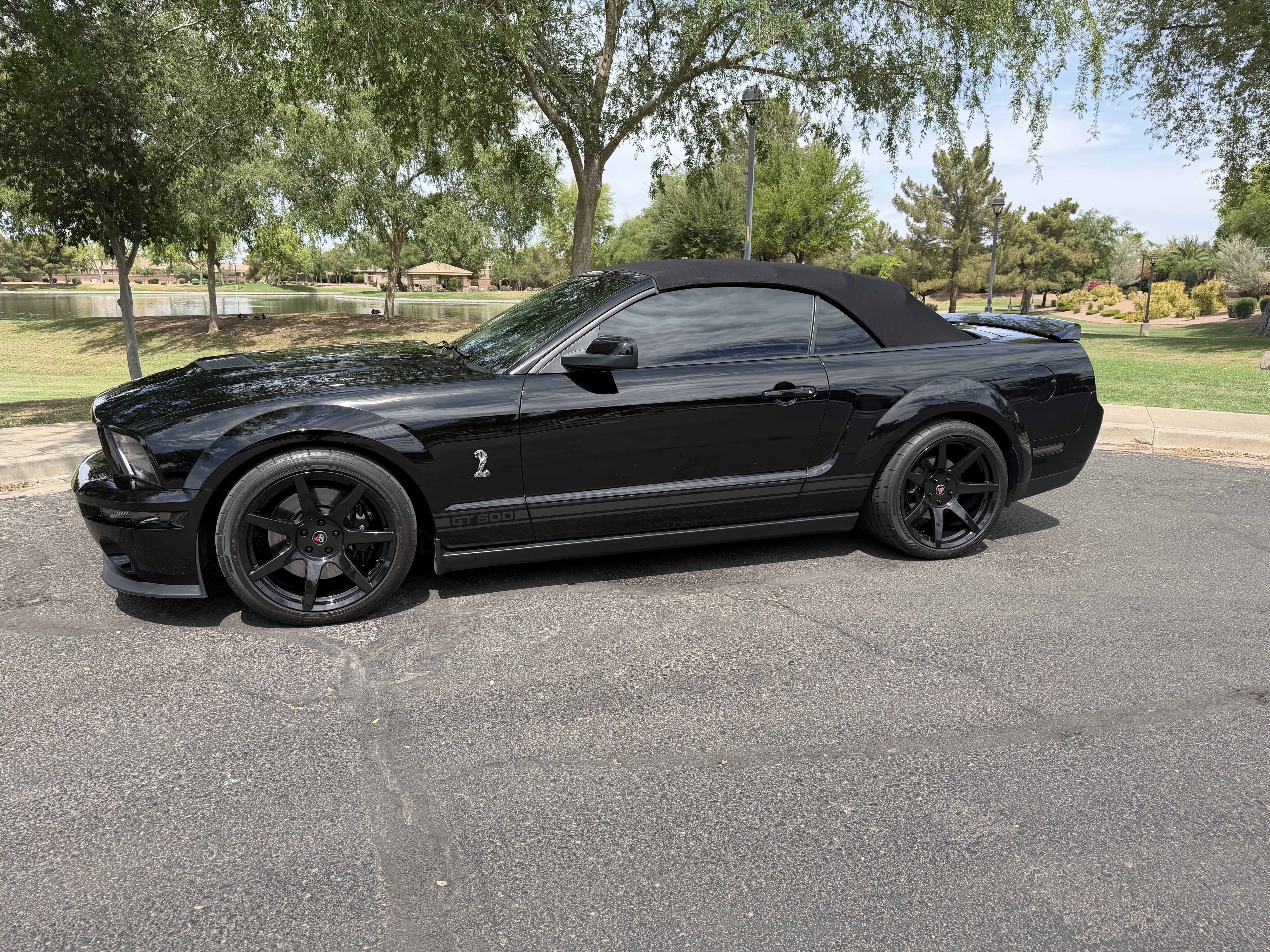 Used 2008 Ford Mustang Shelby GT500