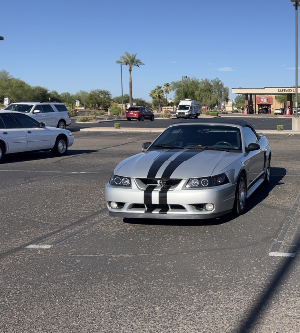 Used 2001 Ford Mustang Cobra