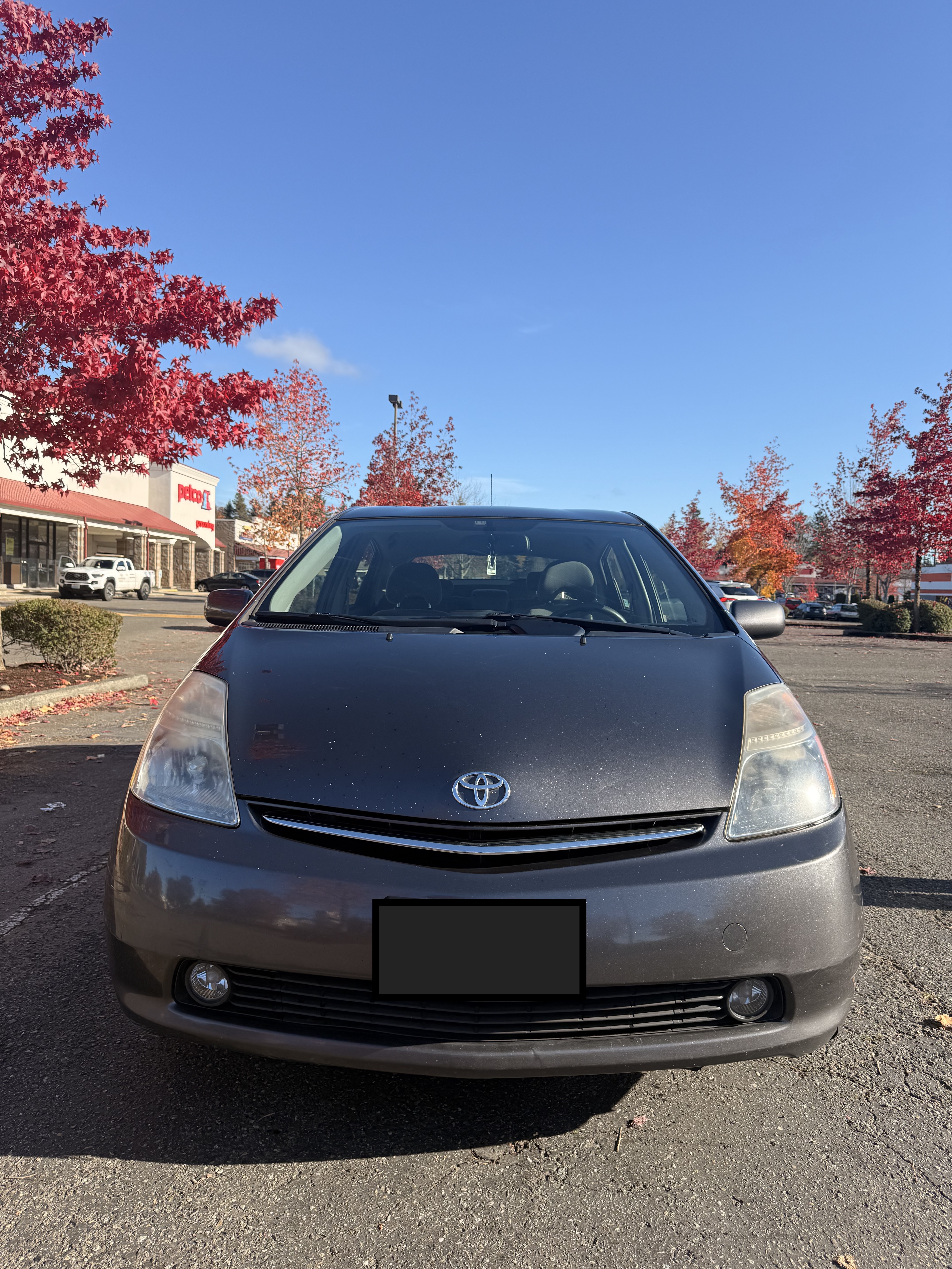 2009 Toyota Prius Touring