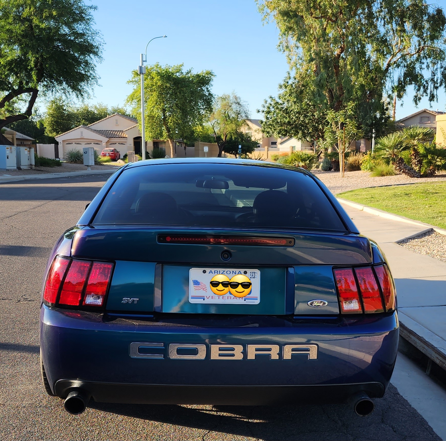 2004 Ford Mustang Cobra