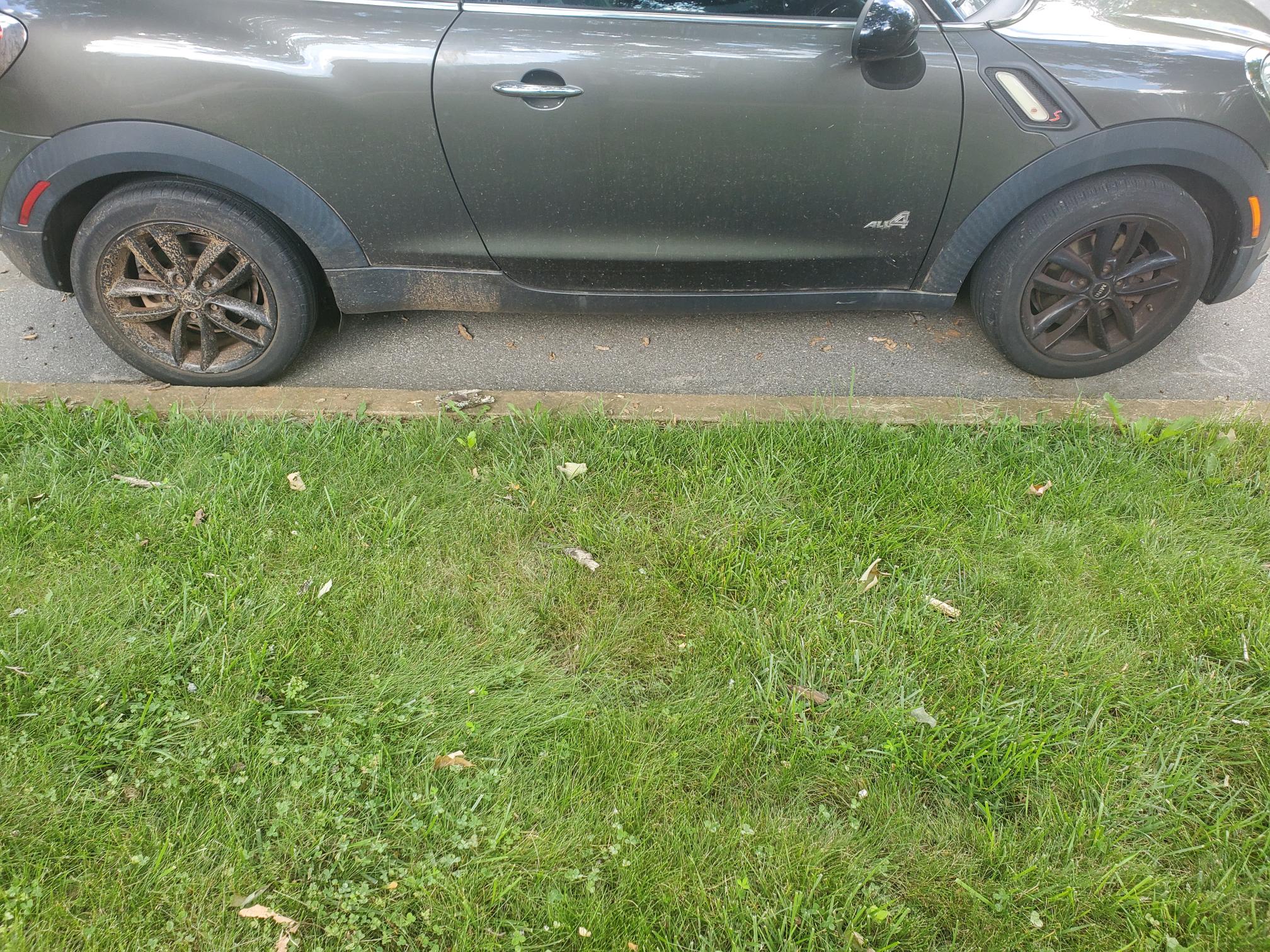 Mini Cooper Paceman 2013 photo 2