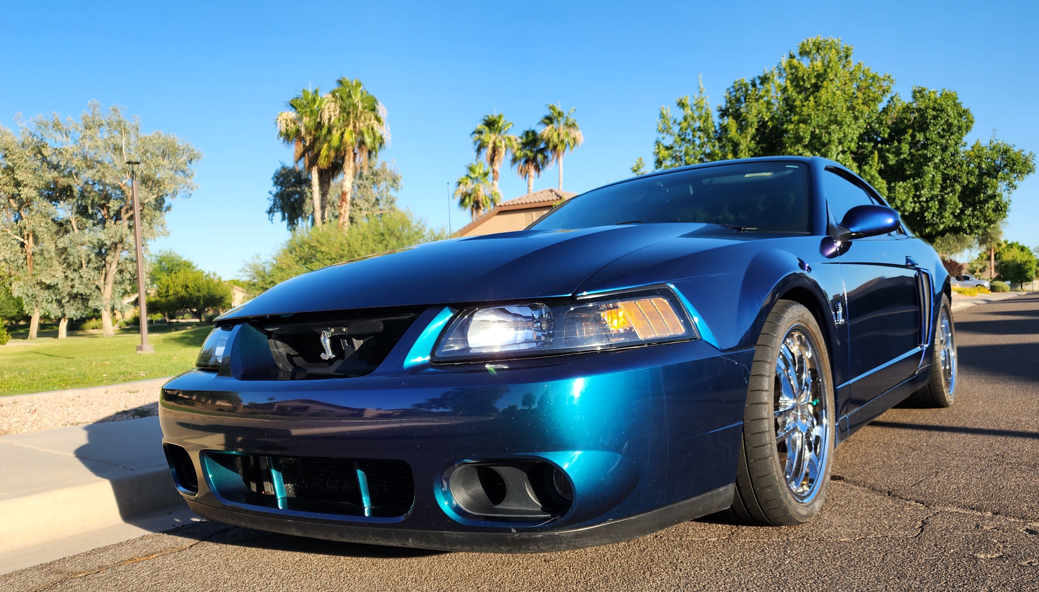 2004 Ford Mustang Cobra