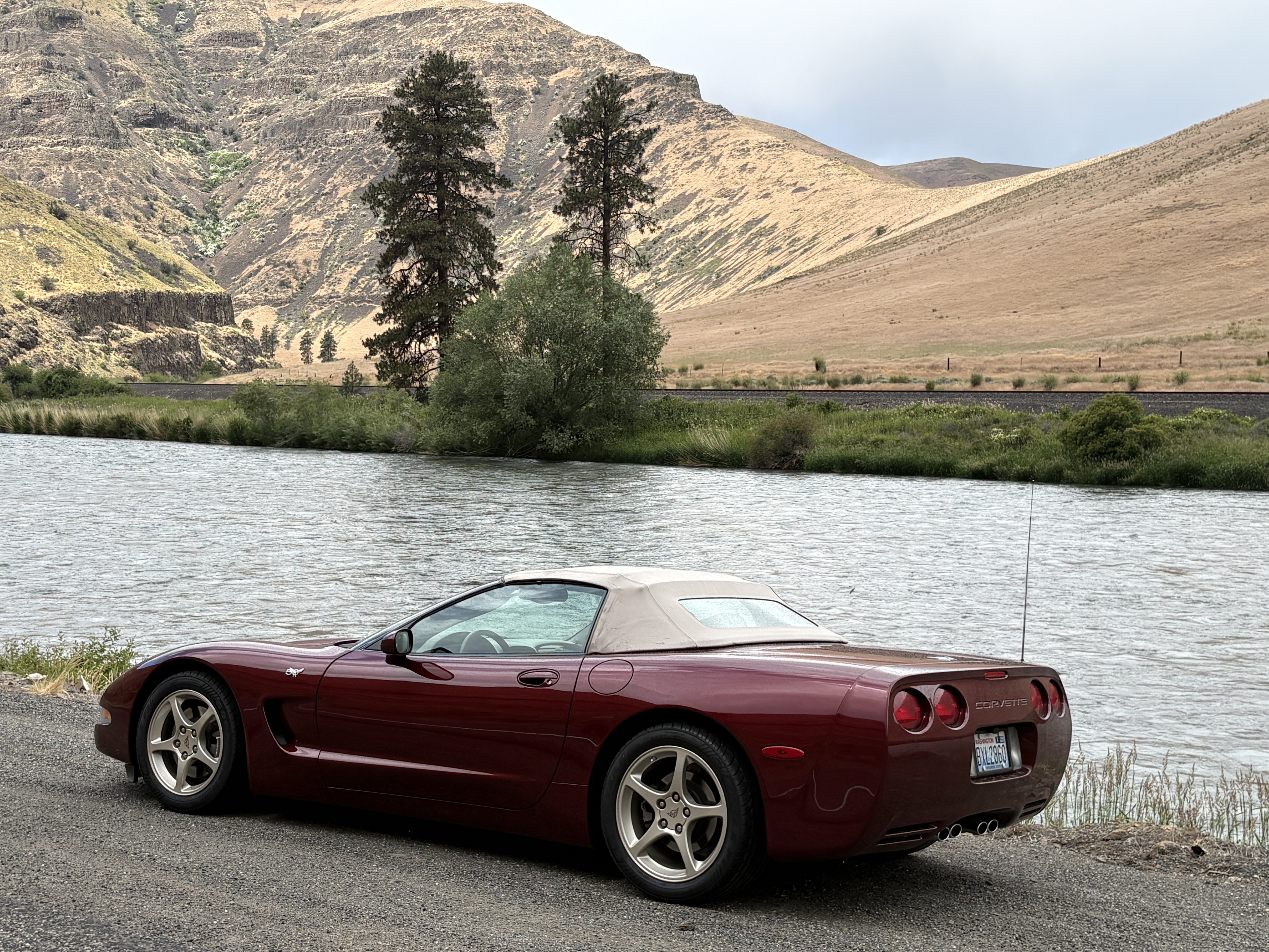 Used 2003 Chevrolet Corvette Convertible w/ Preferred Equipment Group1