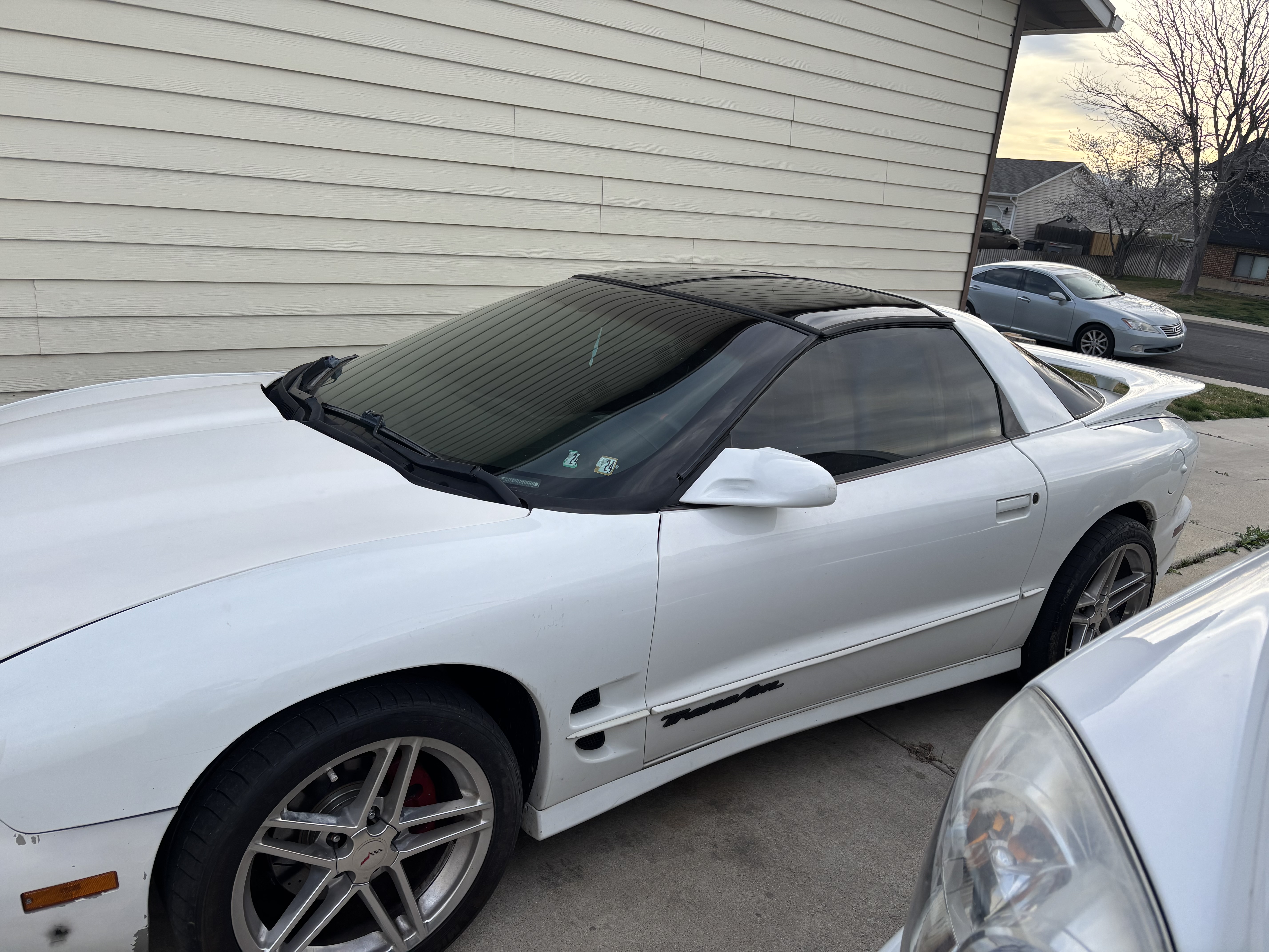 Used 2000 Pontiac Firebird Formula