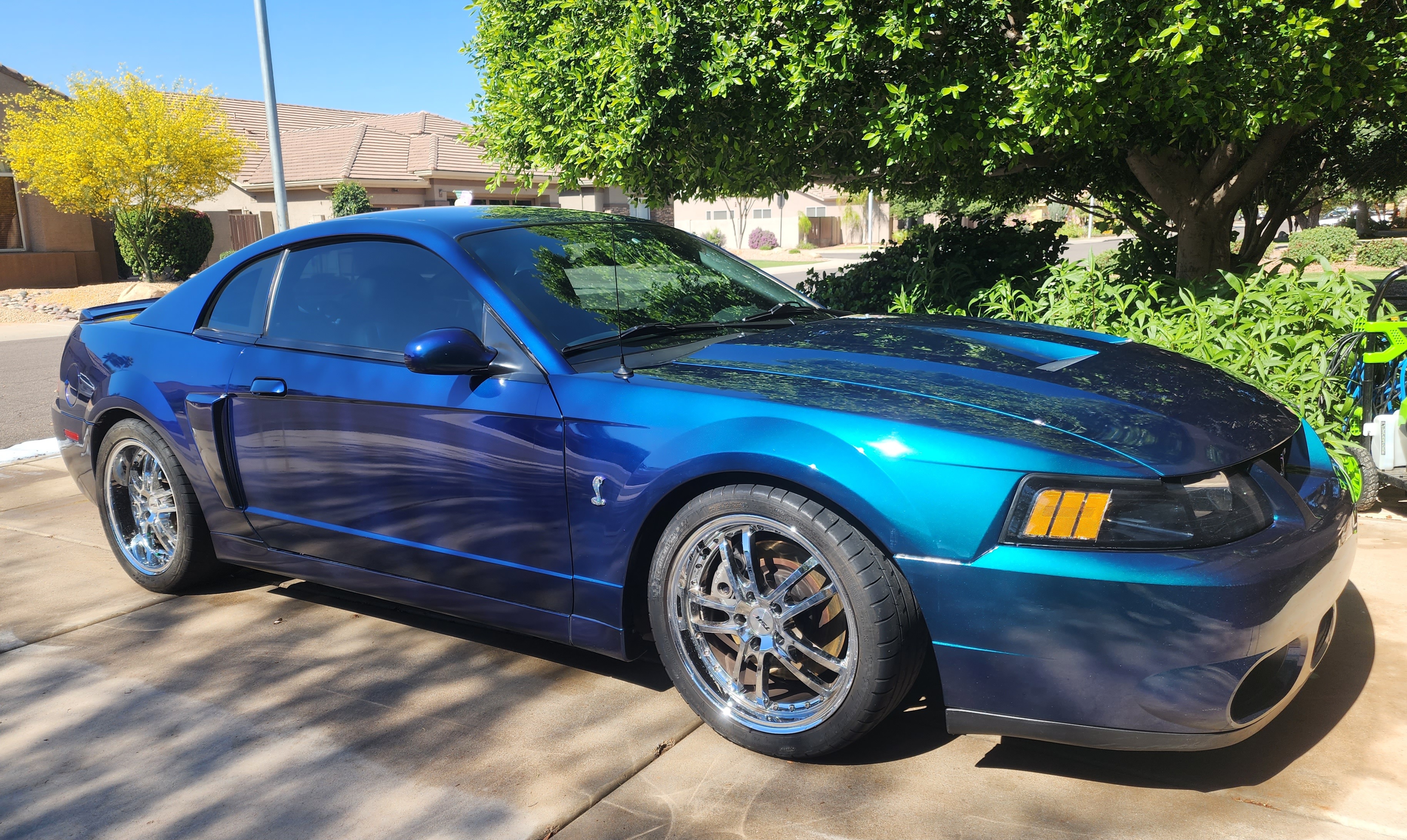 2004 Ford Mustang Cobra