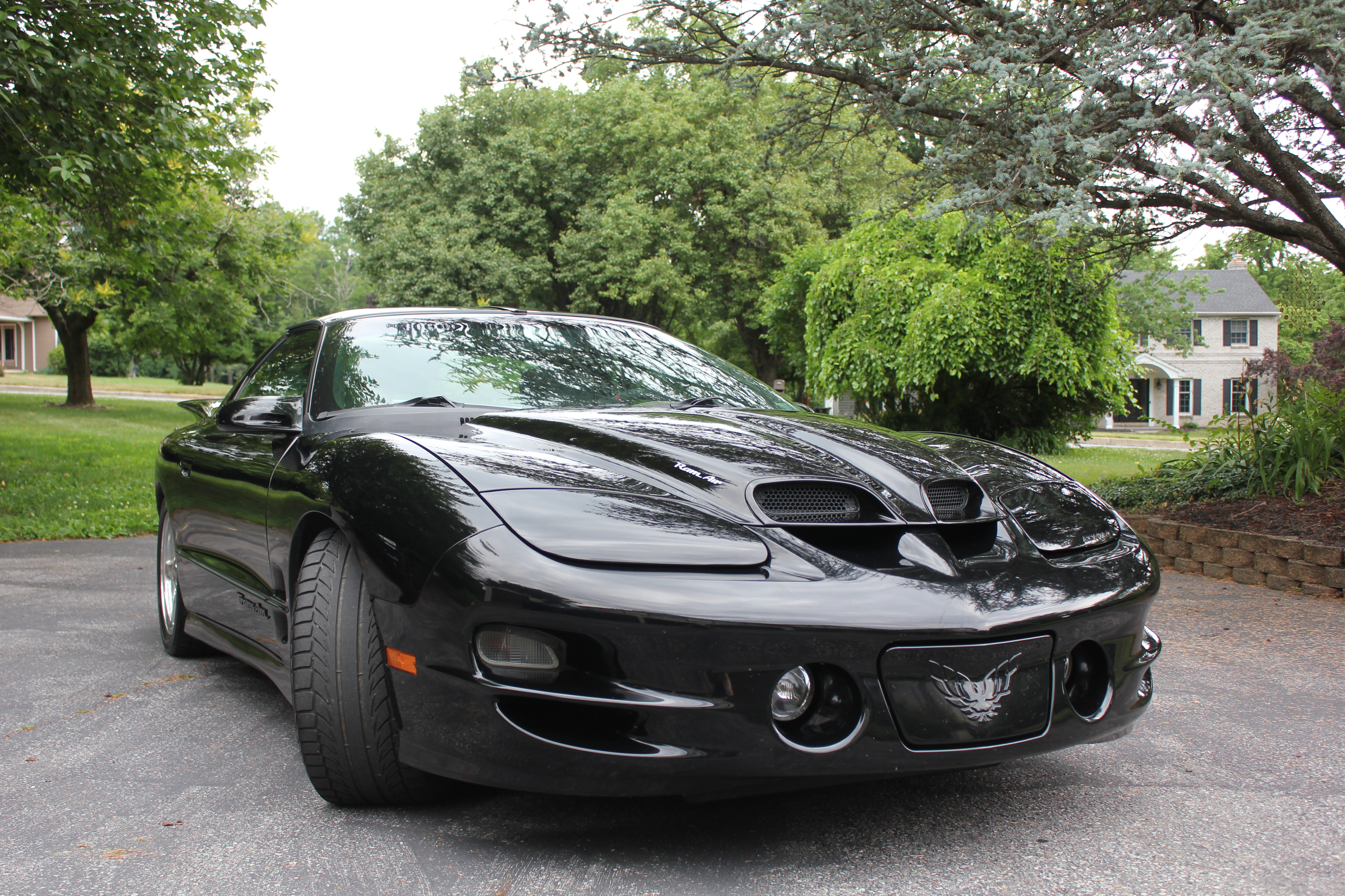 Used 1999 Pontiac Firebird Formula
