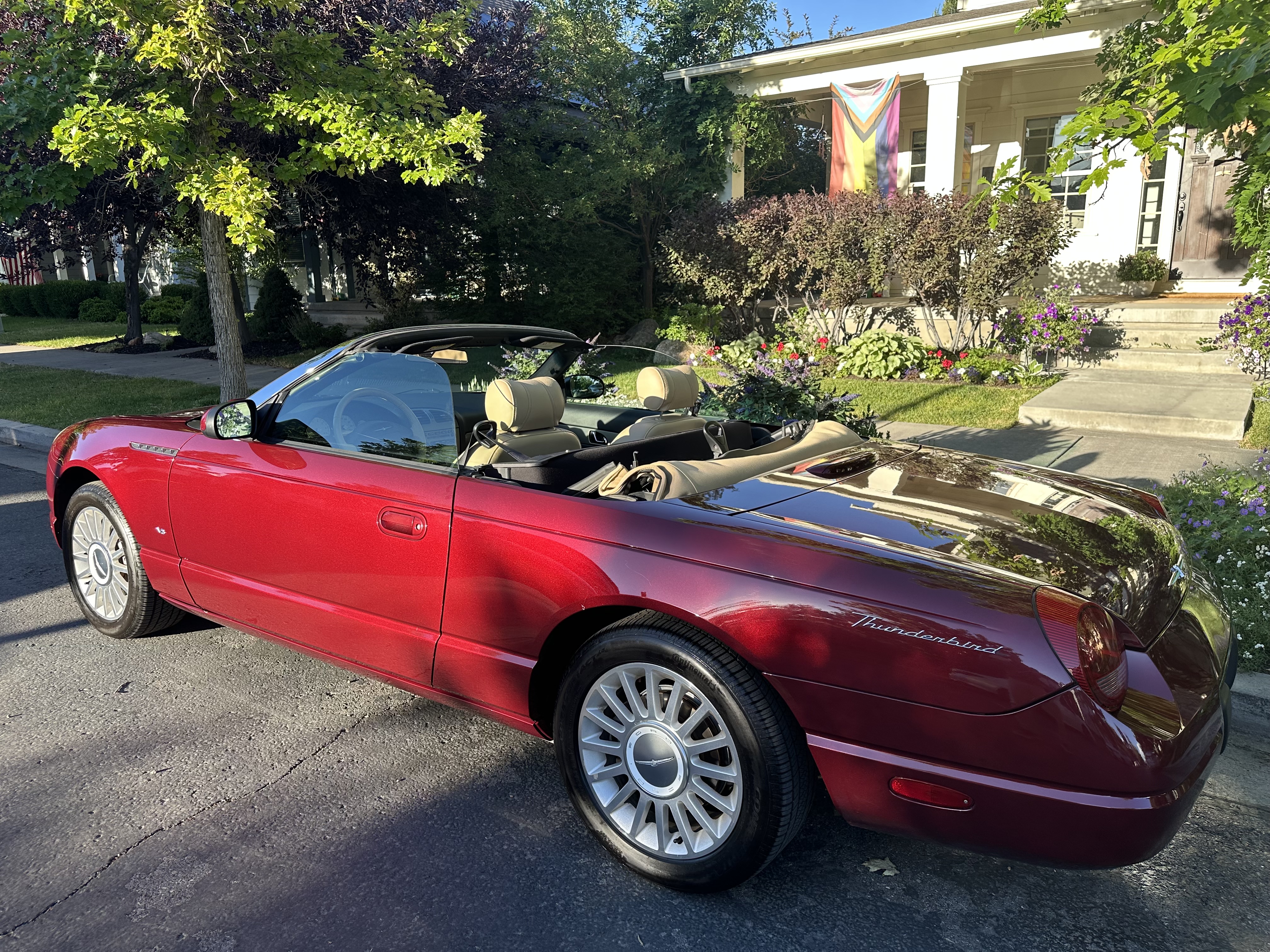 Ford Thunderbird 2004 photo 5