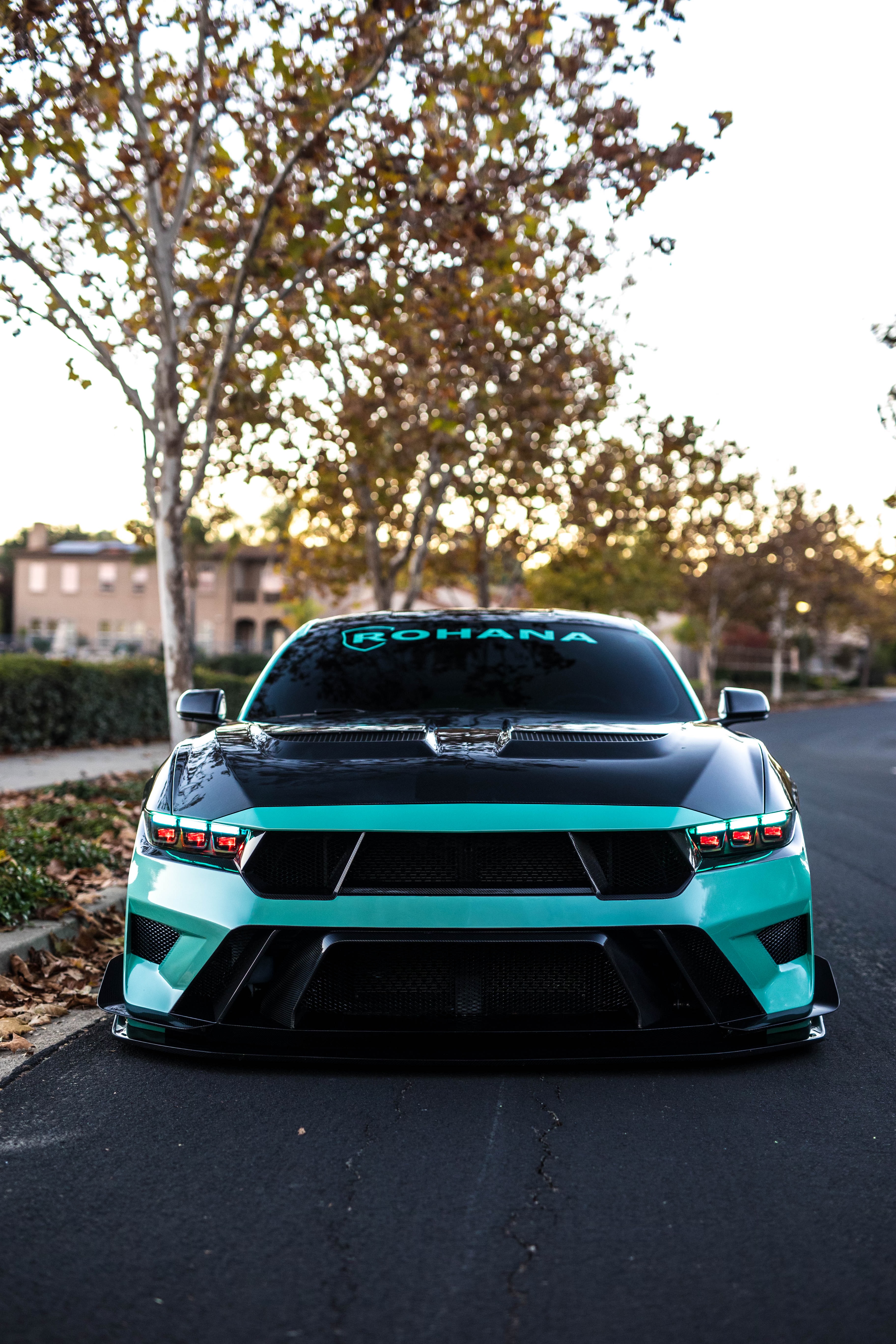 Used 2024 Ford Mustang Dark Horse