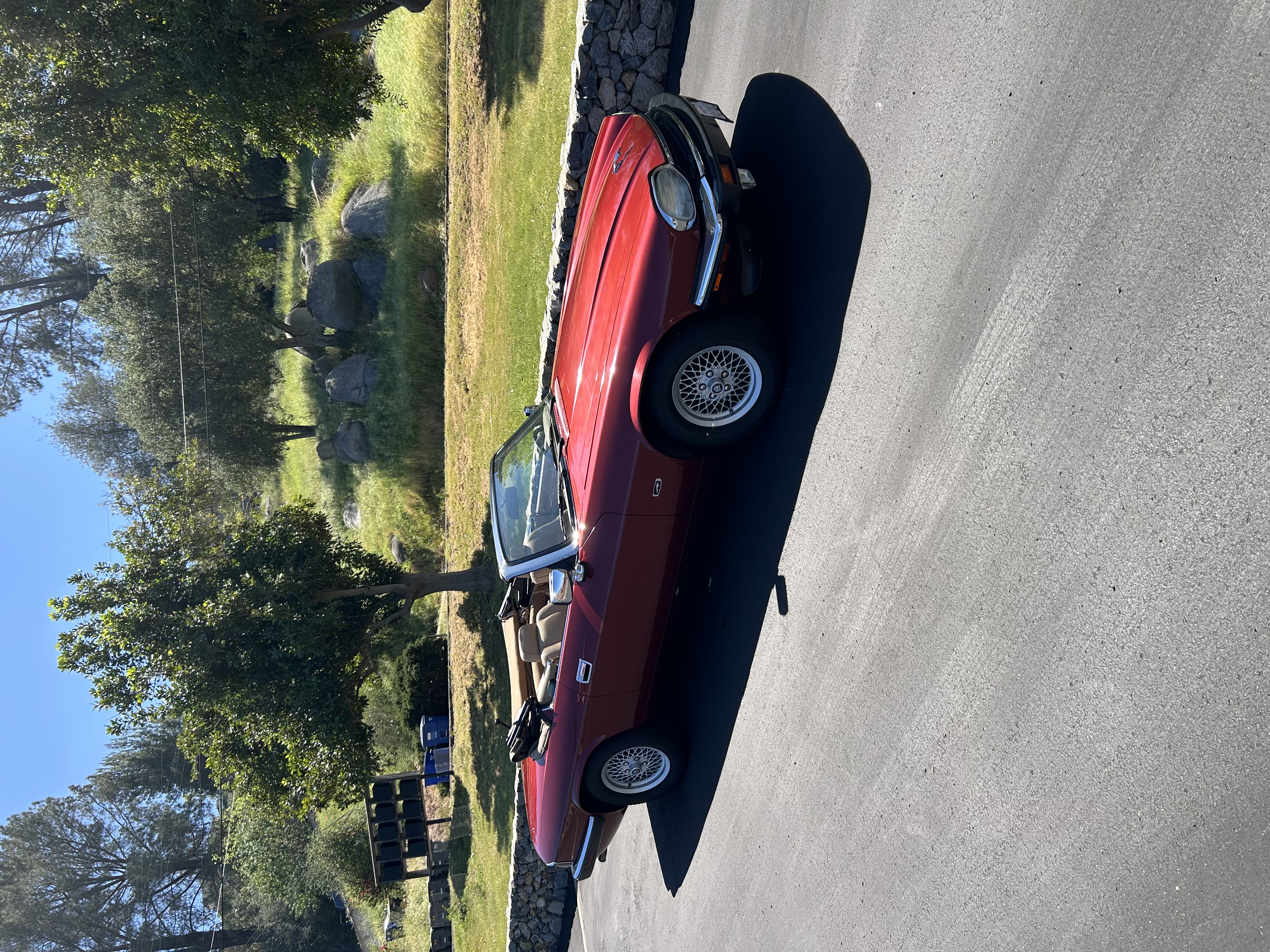 jaguar junior激安　20000円割引 Jaguar XJS for Sale - Kelley Blue Book