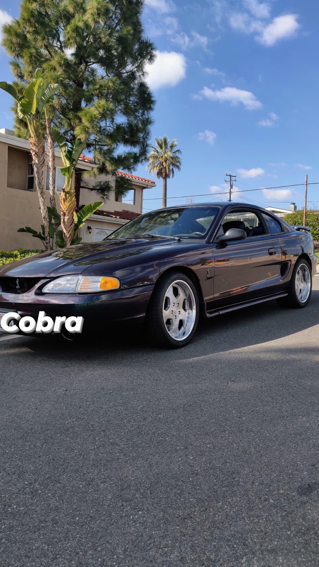 1996 Ford Mustang Cobra