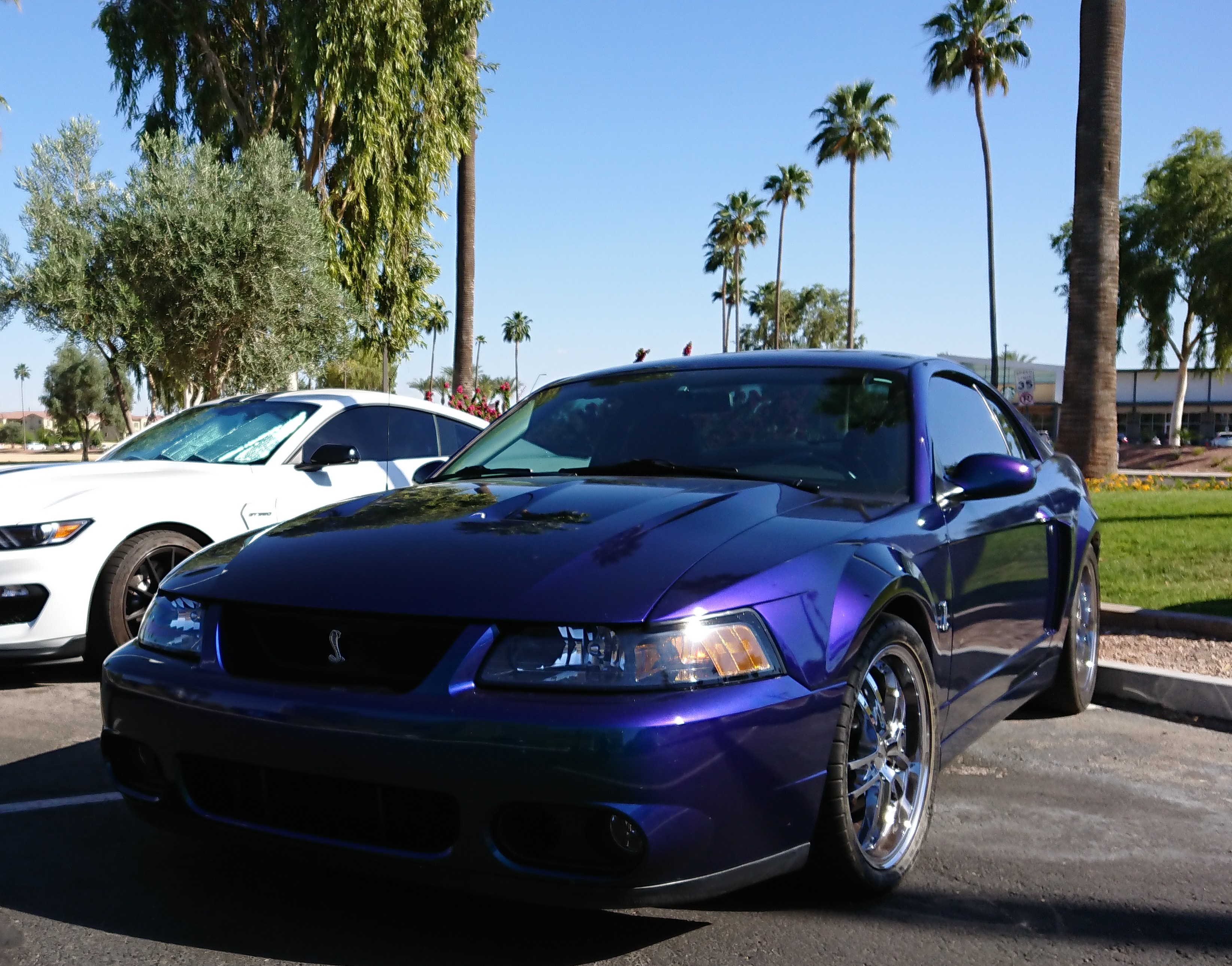 2004 Ford Mustang Cobra