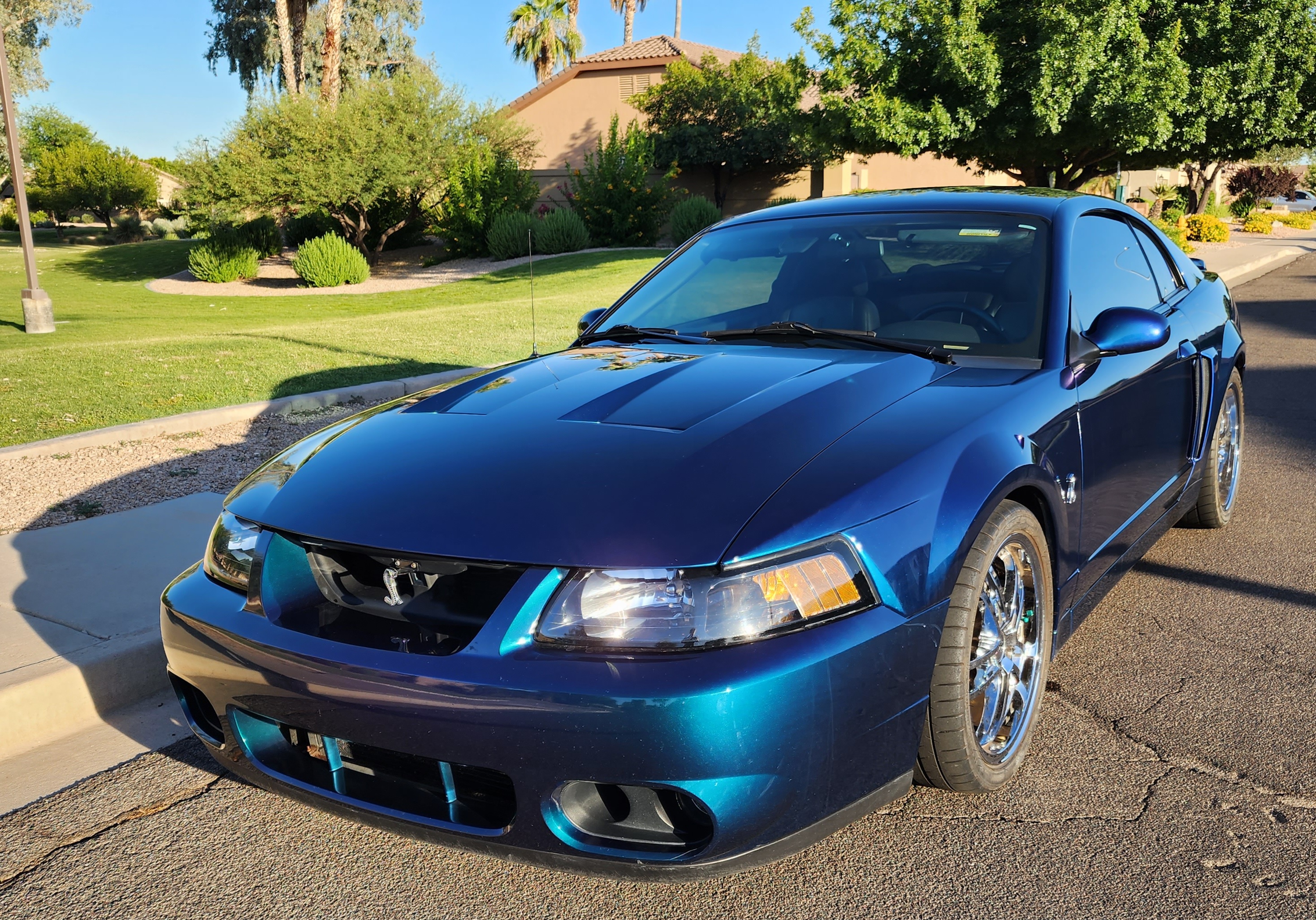 2004 Ford Mustang Cobra