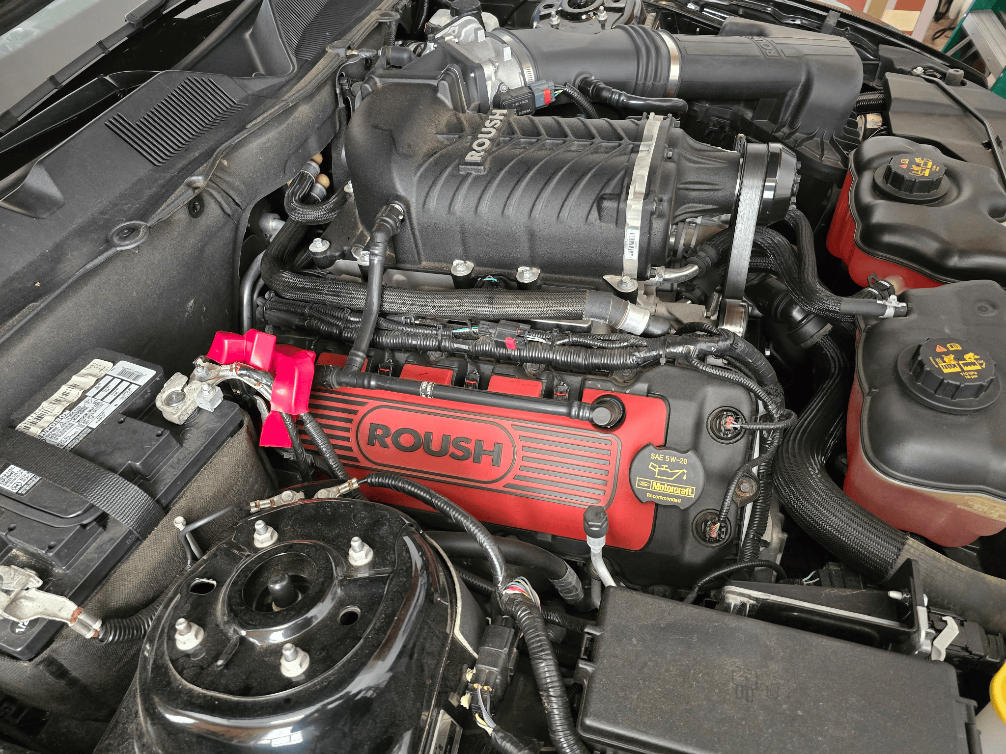 Used 2014 Ford Mustang GT Premium