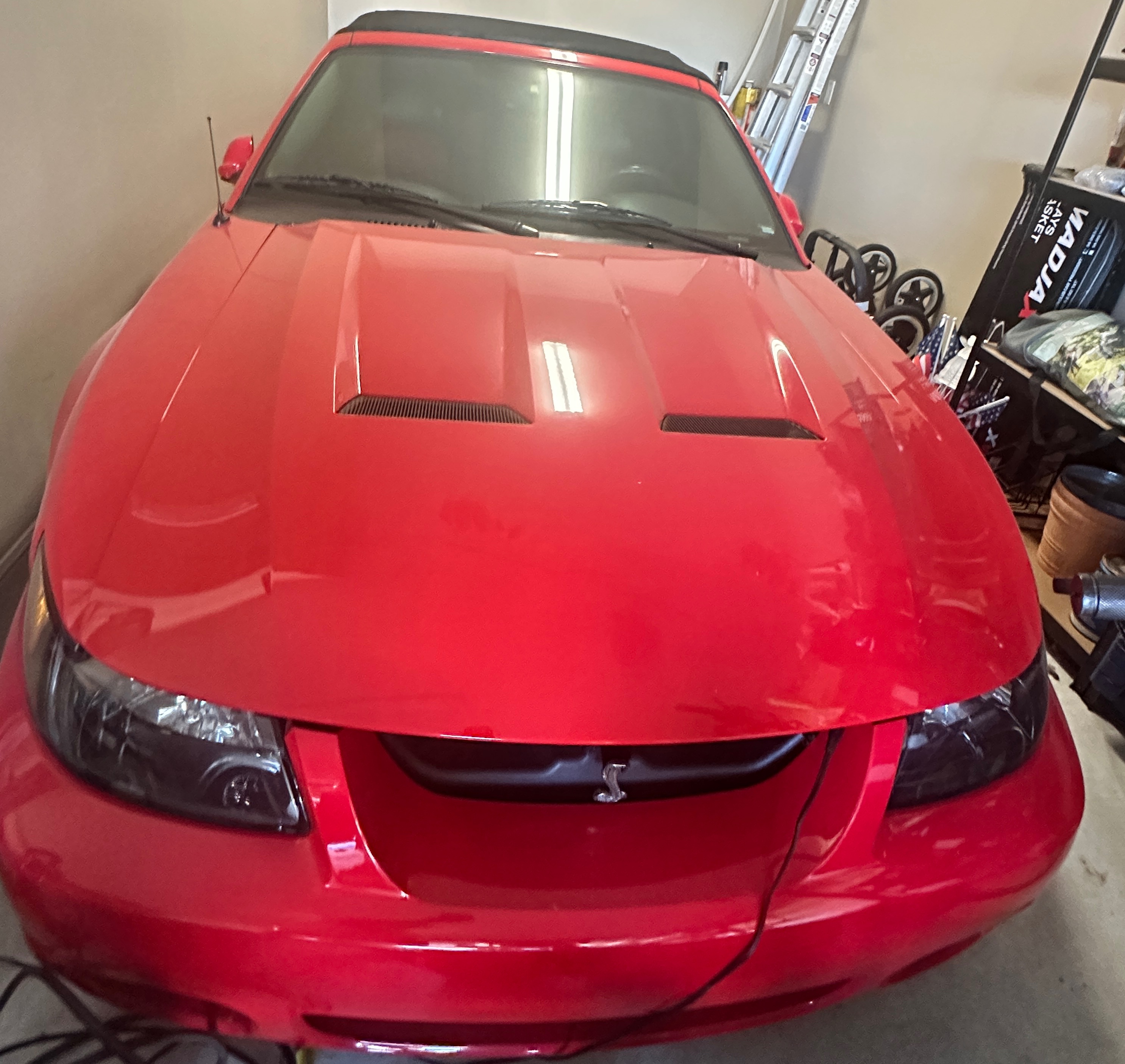 Used 2003 Ford Mustang Cobra