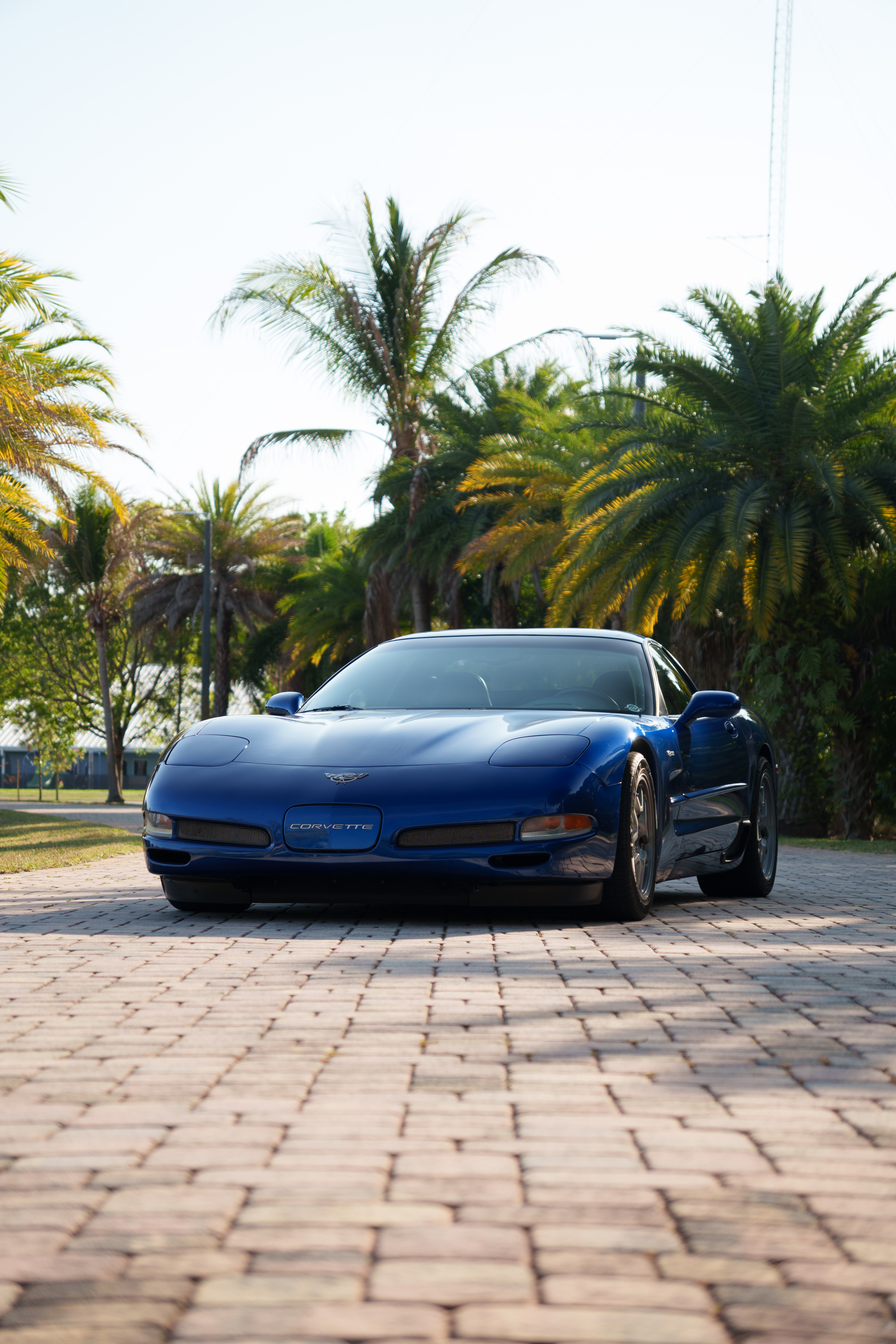 Used 2003 Chevrolet Corvette Z06 w/ Memory Package, 3 Drivers