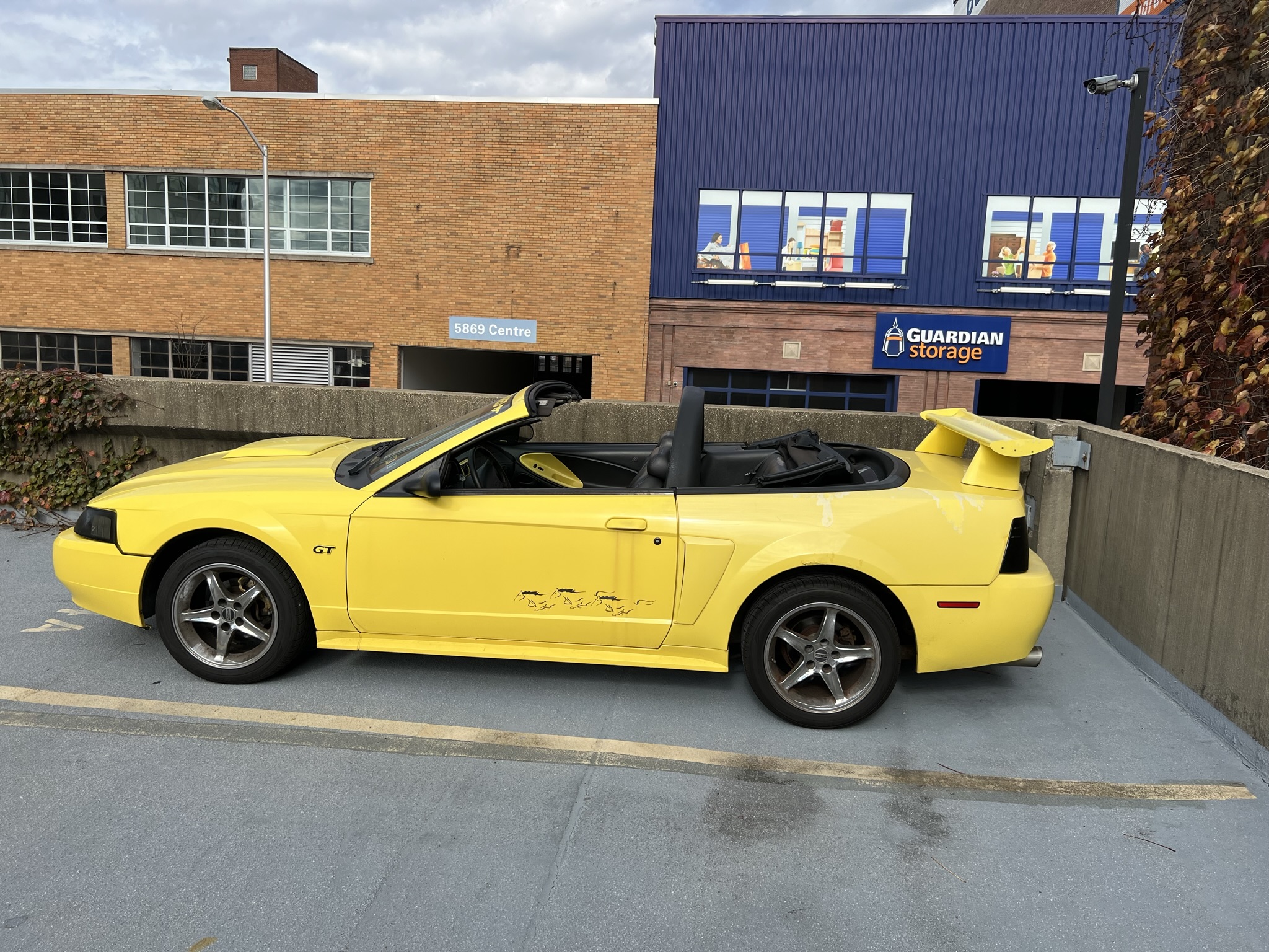 Used 2001 Ford Mustang GT