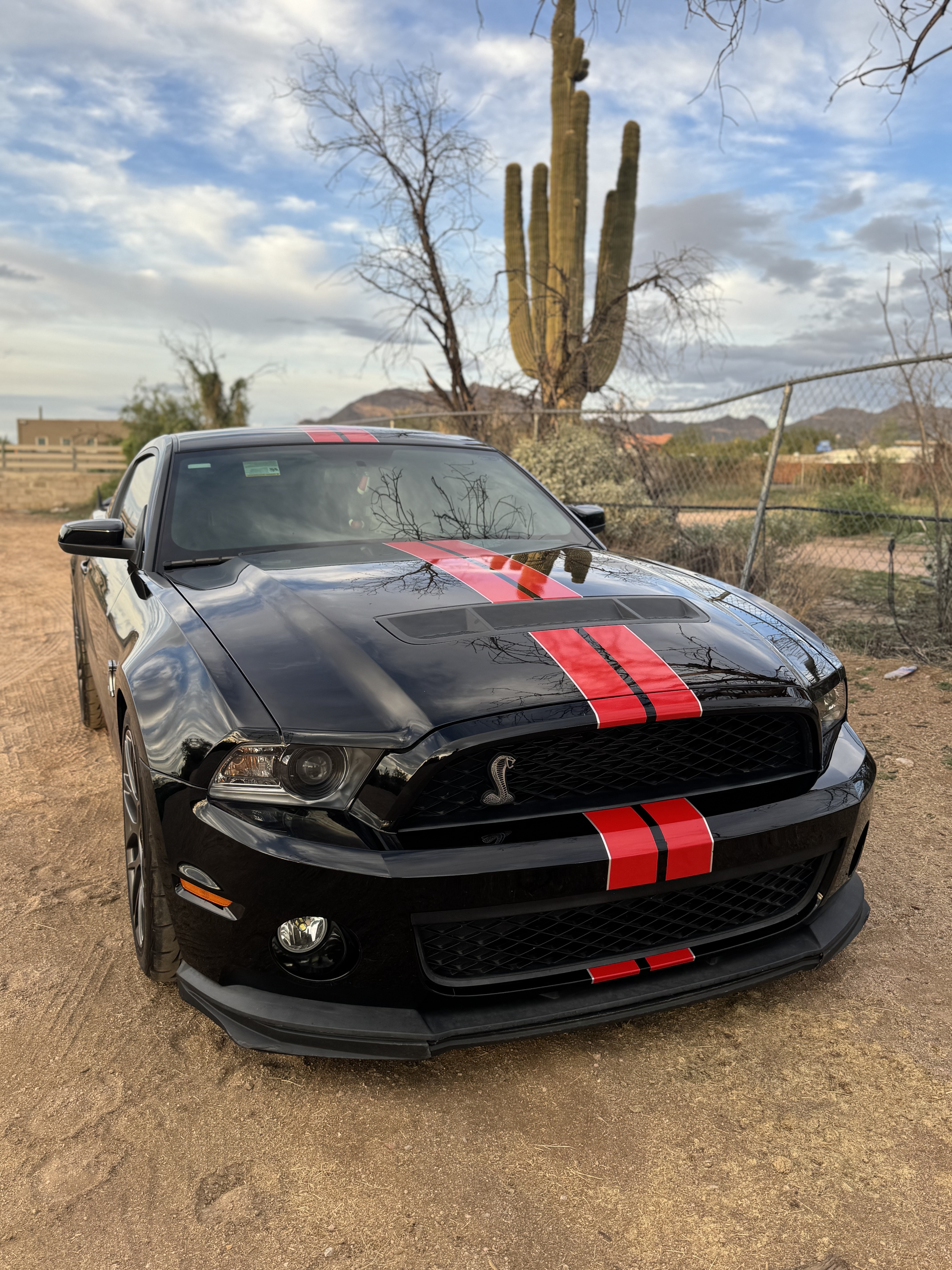 Used 2012 Ford Mustang Shelby GT500 w/ SVT Performance Pkg