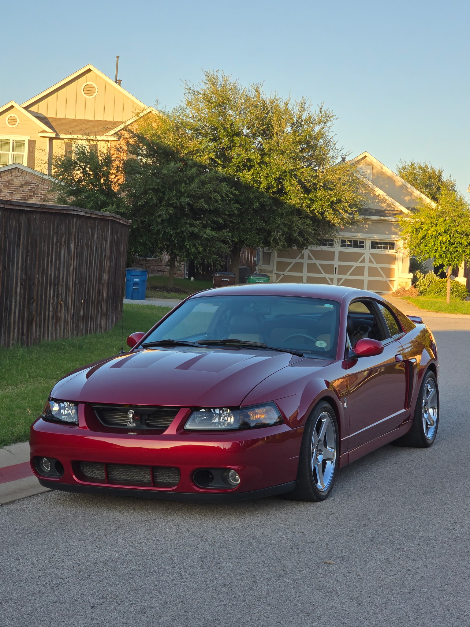 Used 2003 Ford Mustang Cobra