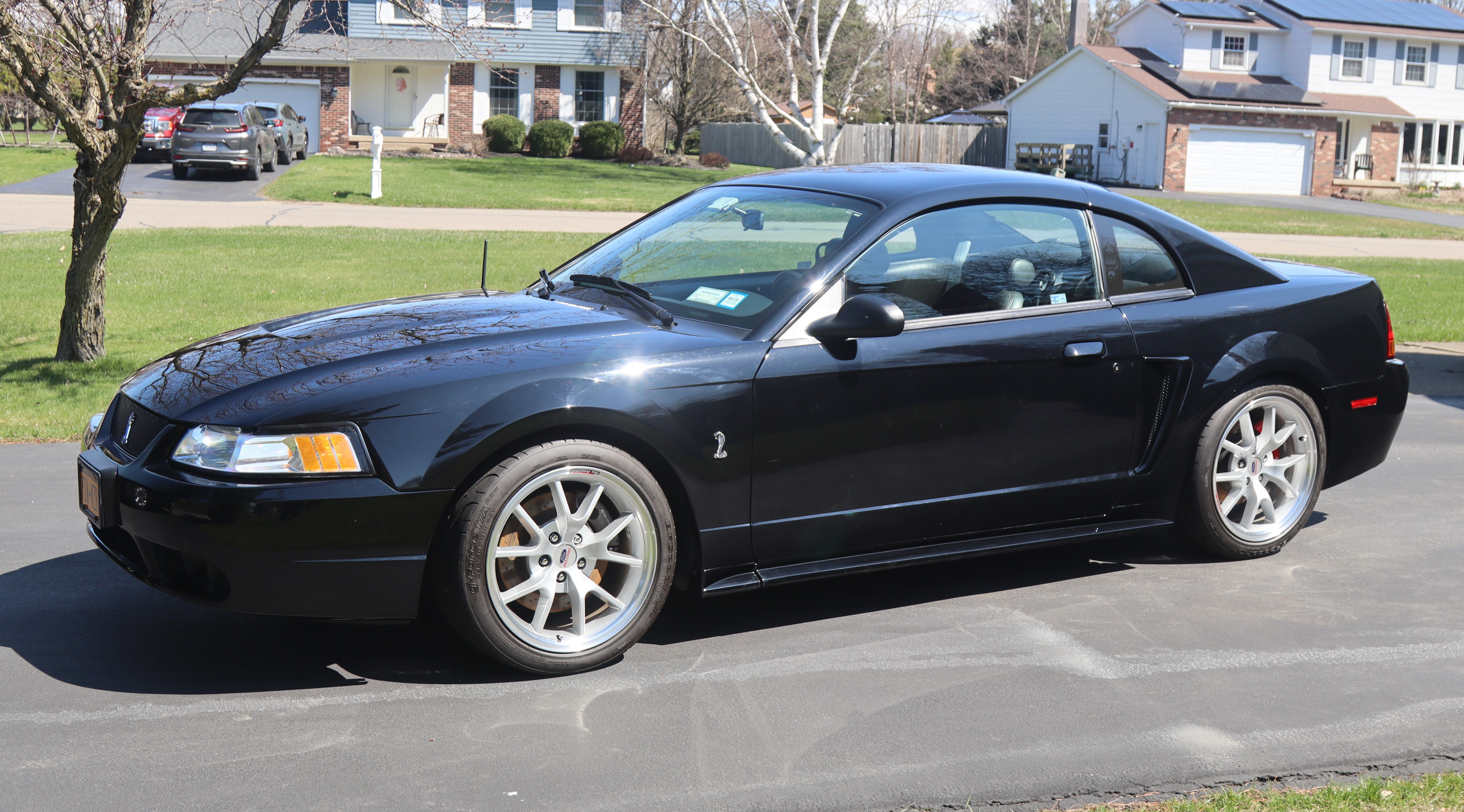 Used 1999 Ford Mustang Cobra