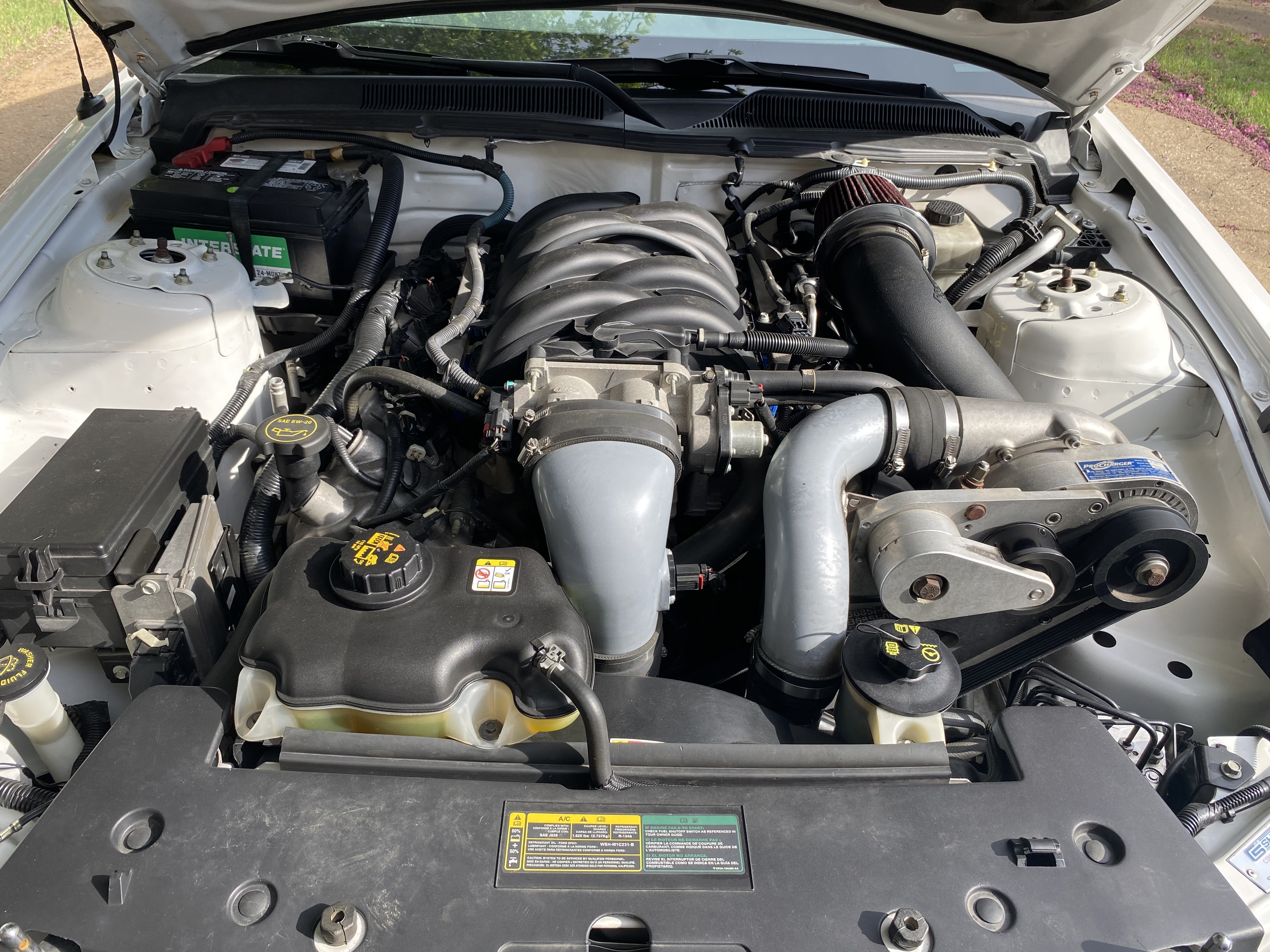 2007 Ford Mustang GT