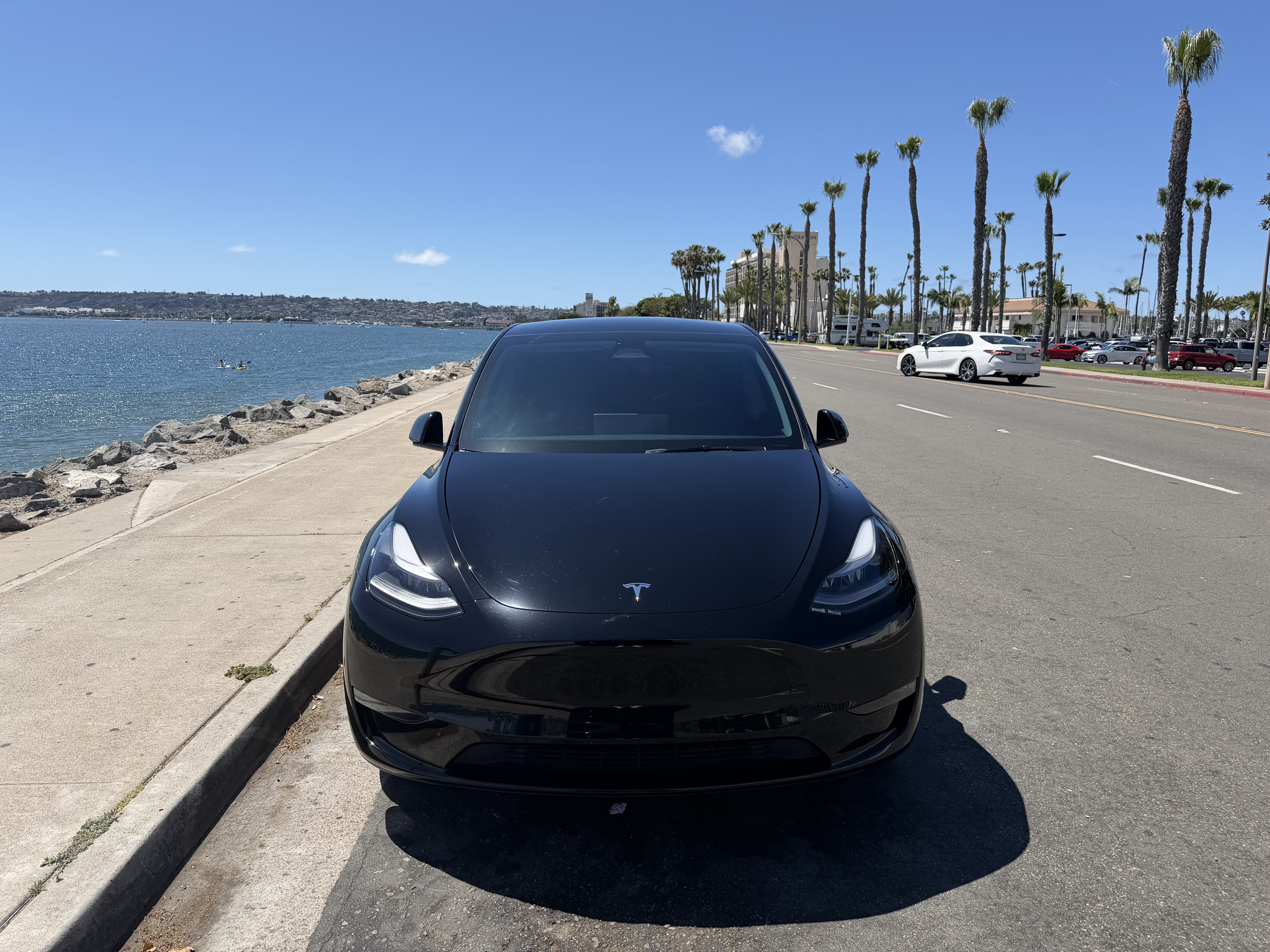 2025 Tesla Model Y Long Range