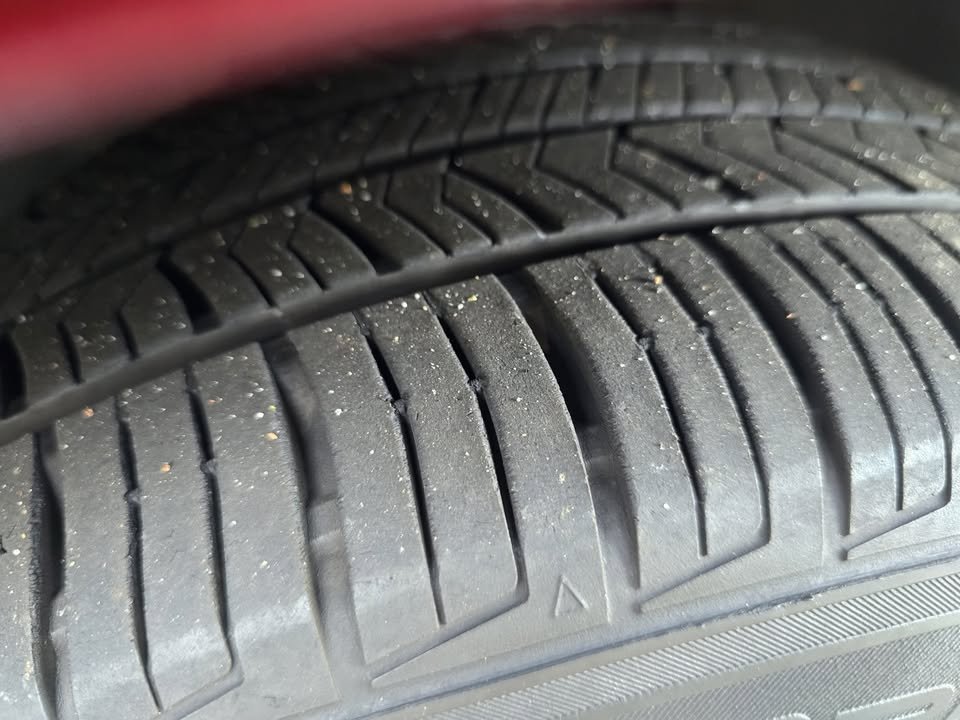 2010 Ford Mustang Convertible