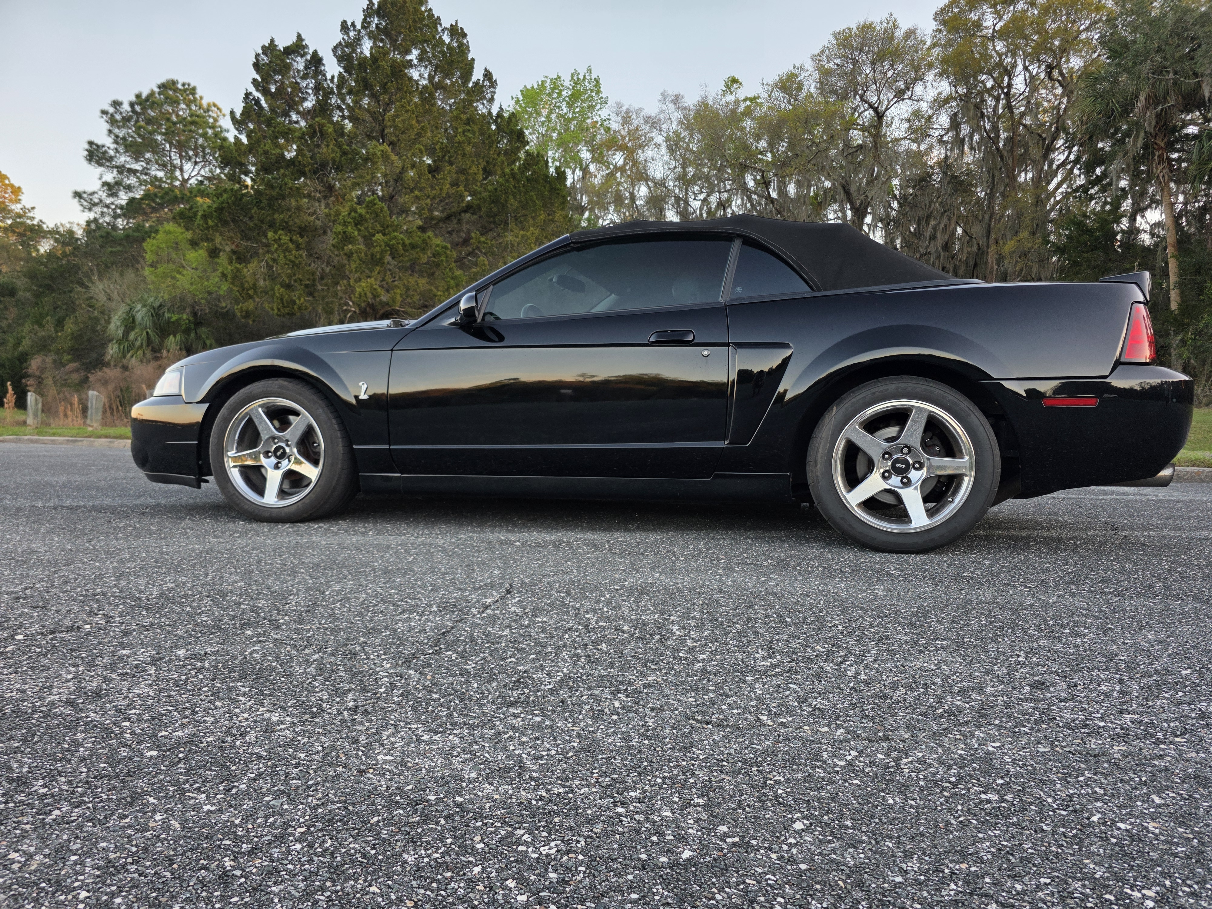 Used 2003 Ford Mustang Cobra