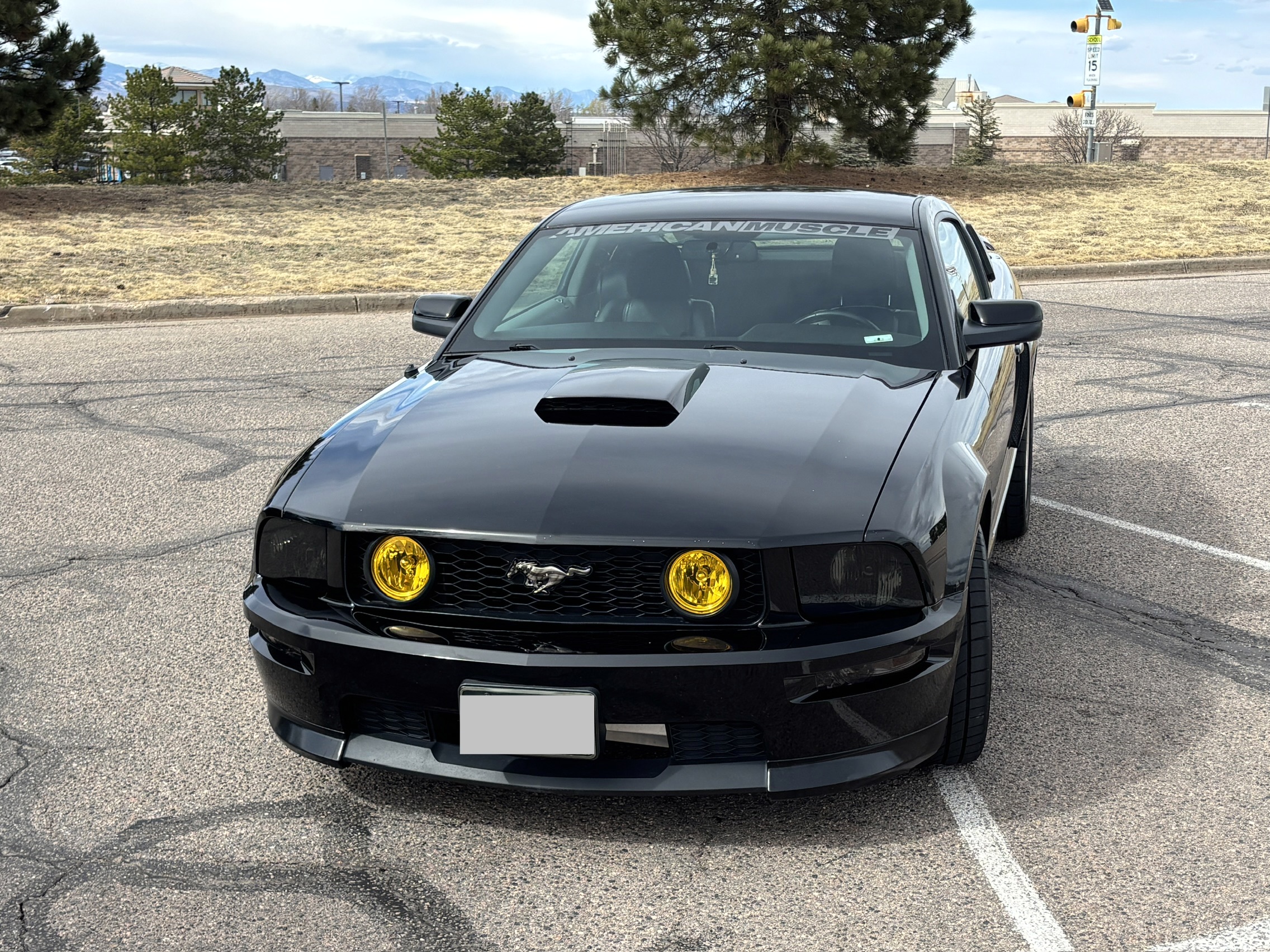 2007 Ford Mustang GT Premium