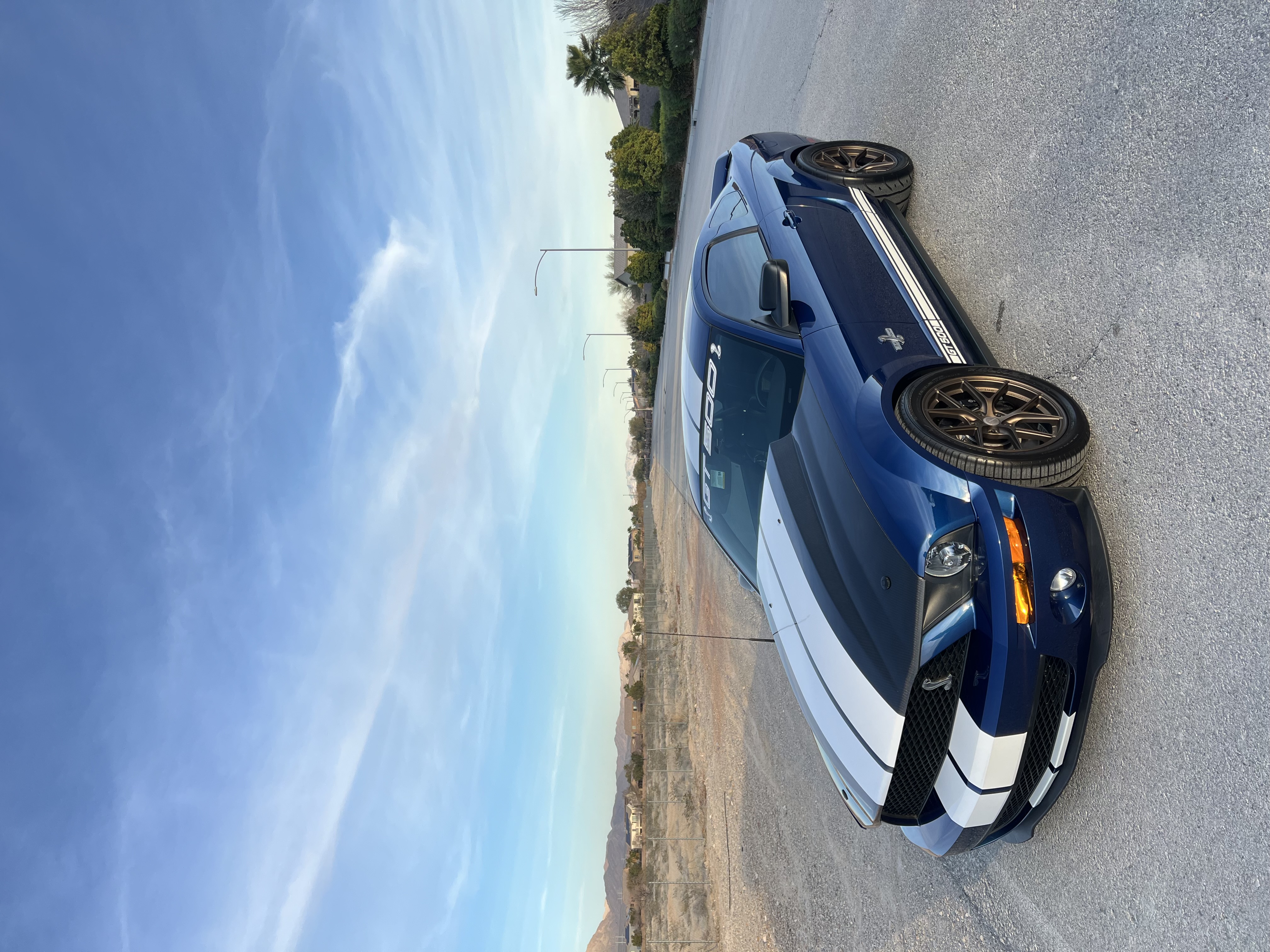 Used 2008 Ford Mustang Shelby GT500