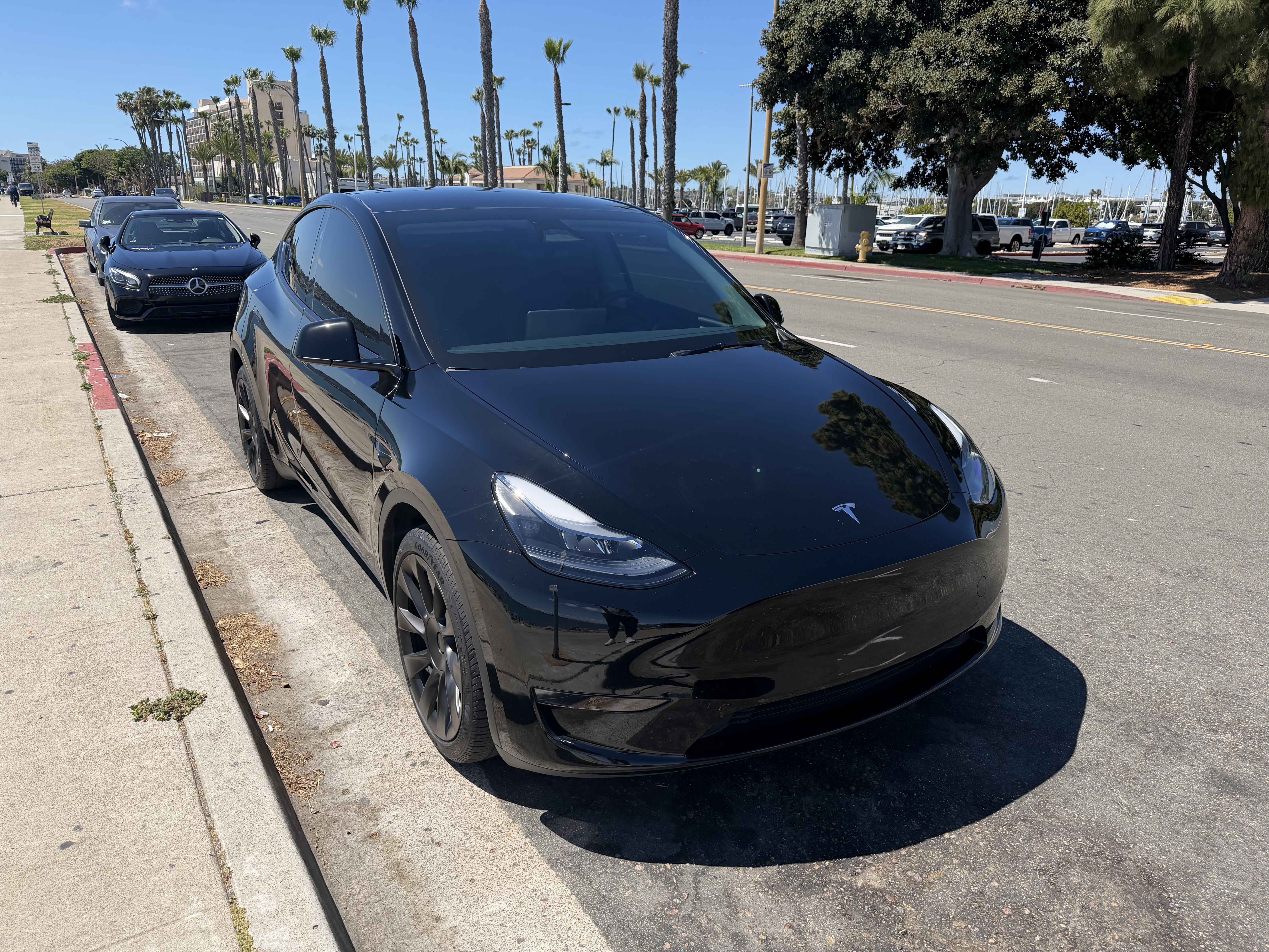 2025 Tesla Model Y Long Range