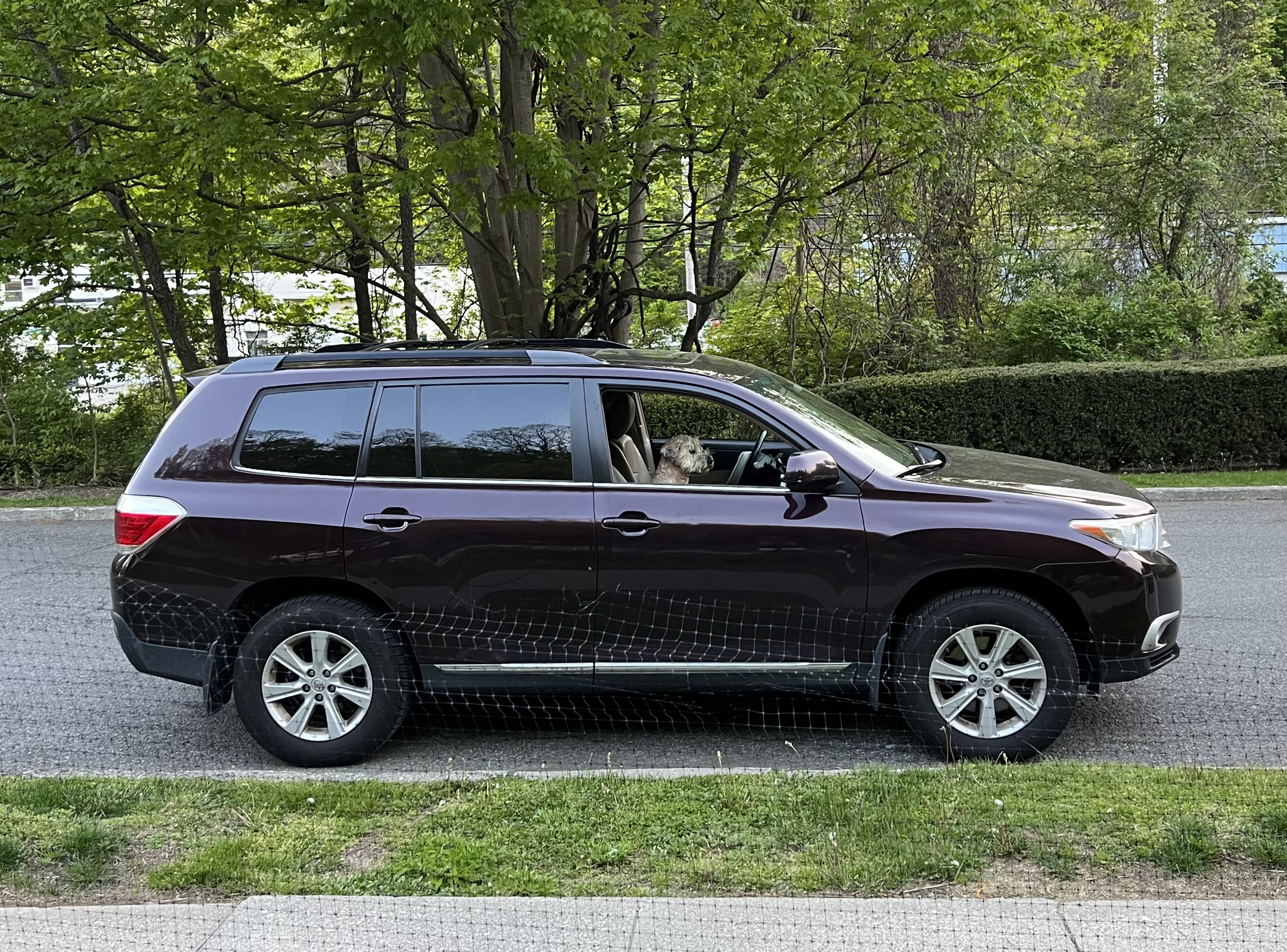 2011 Toyota Highlander SE