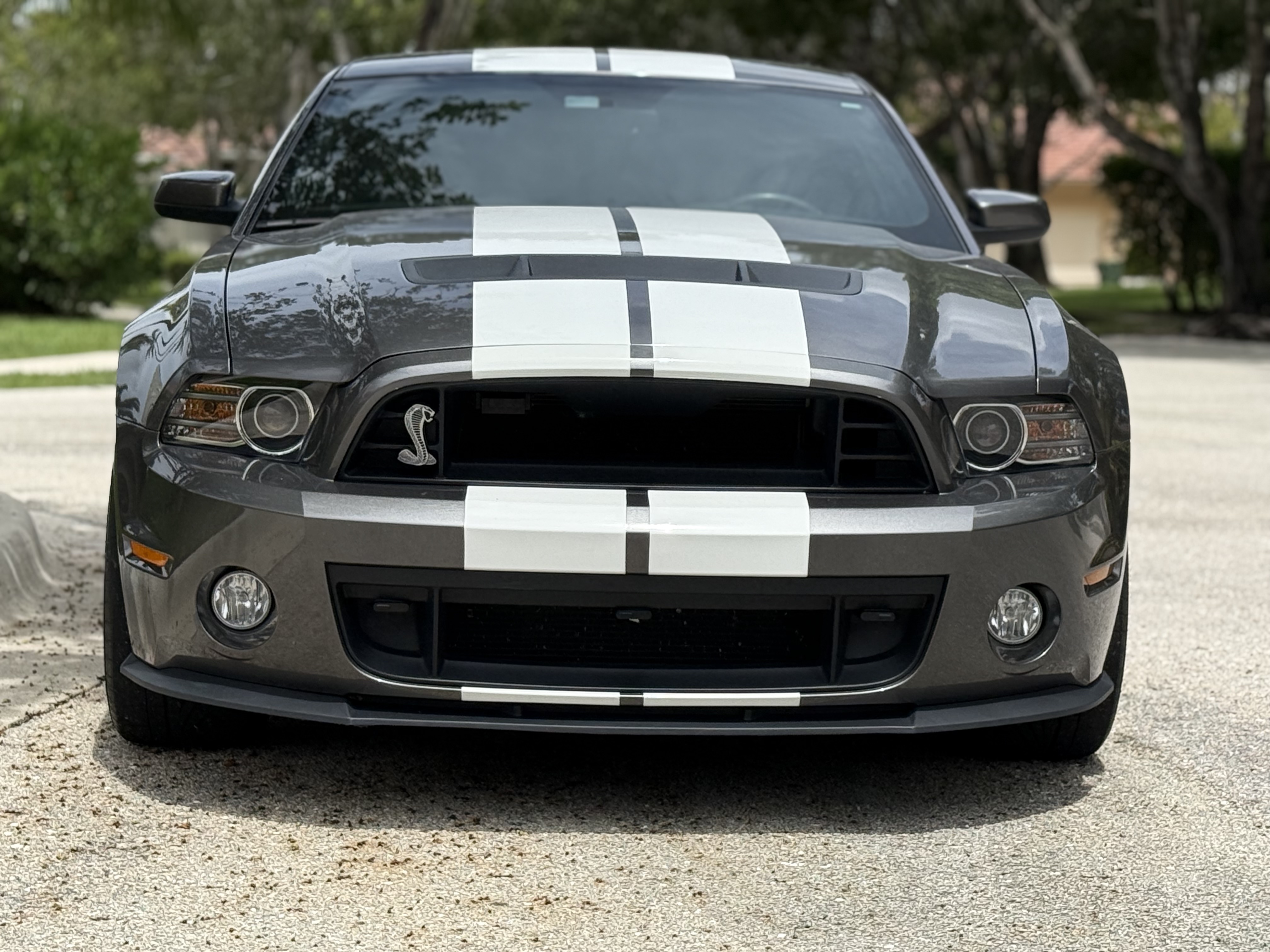 Used 2014 Ford Mustang Shelby GT500 w/ Equipment Group 821A