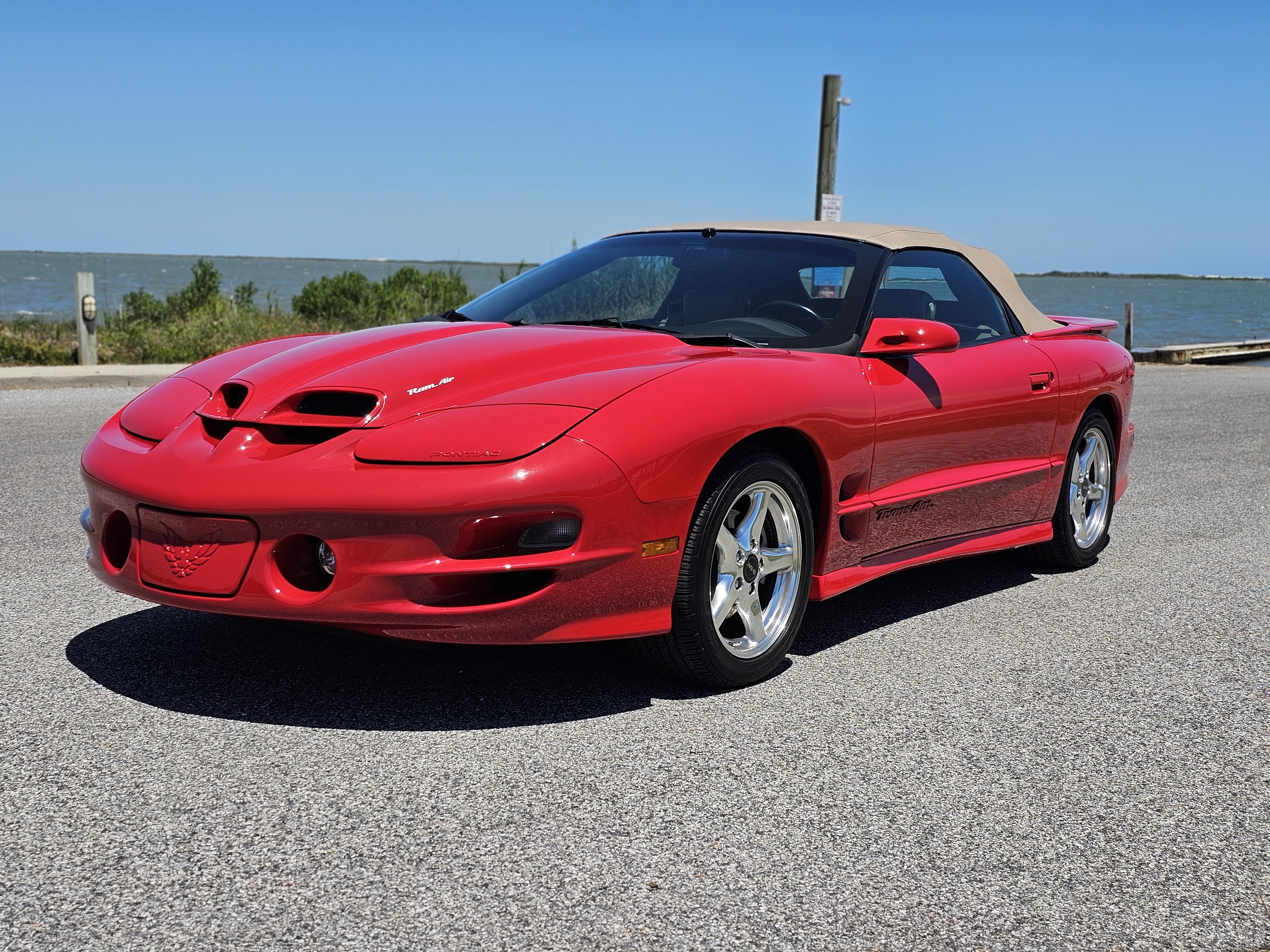 Used 2000 Pontiac Firebird Trans Am