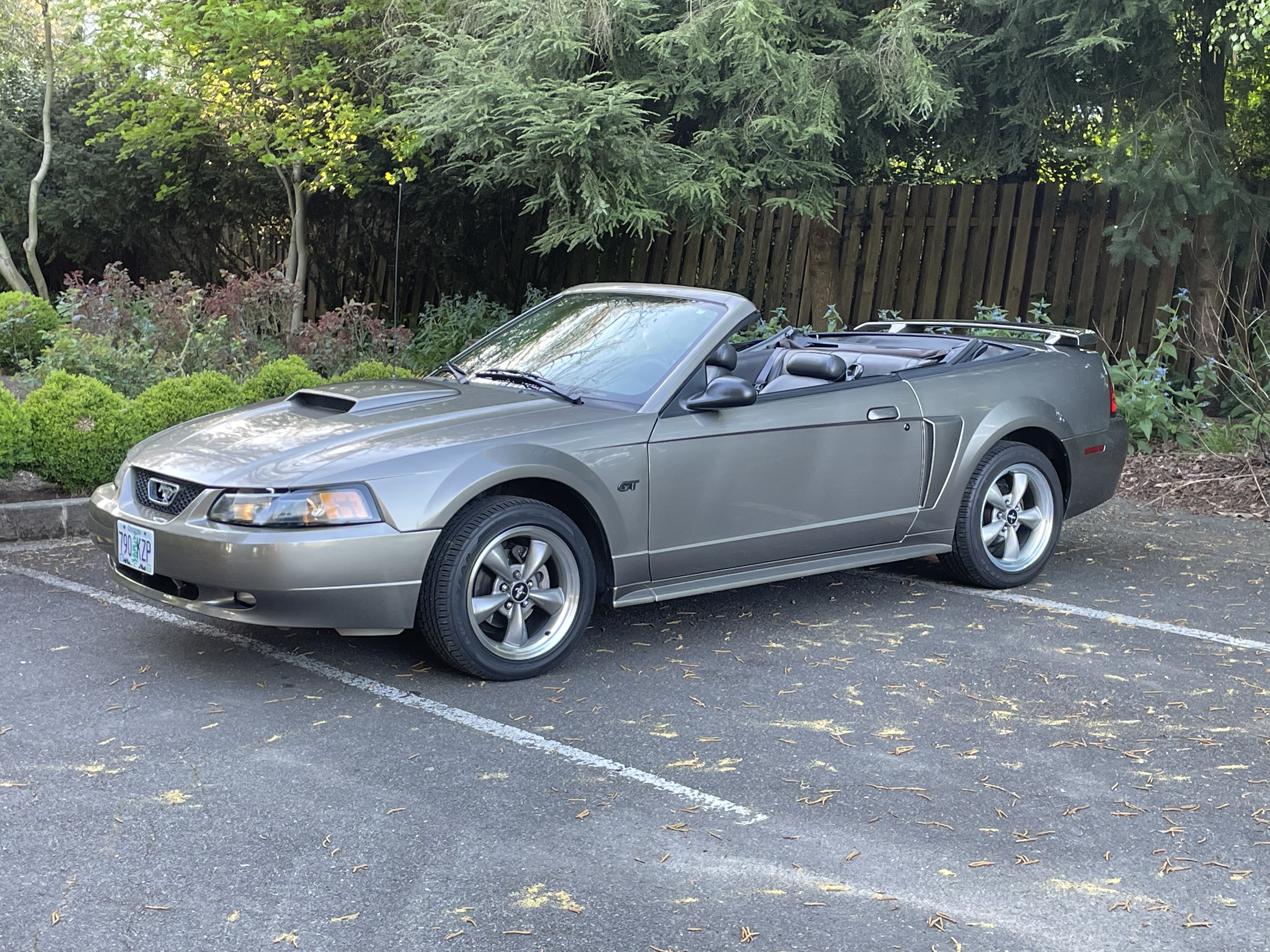 Used 2002 Ford Mustang GT Premium
