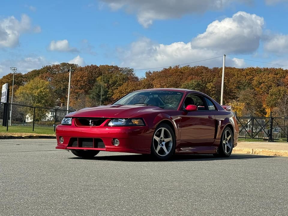 Used 2003 Ford Mustang Cobra