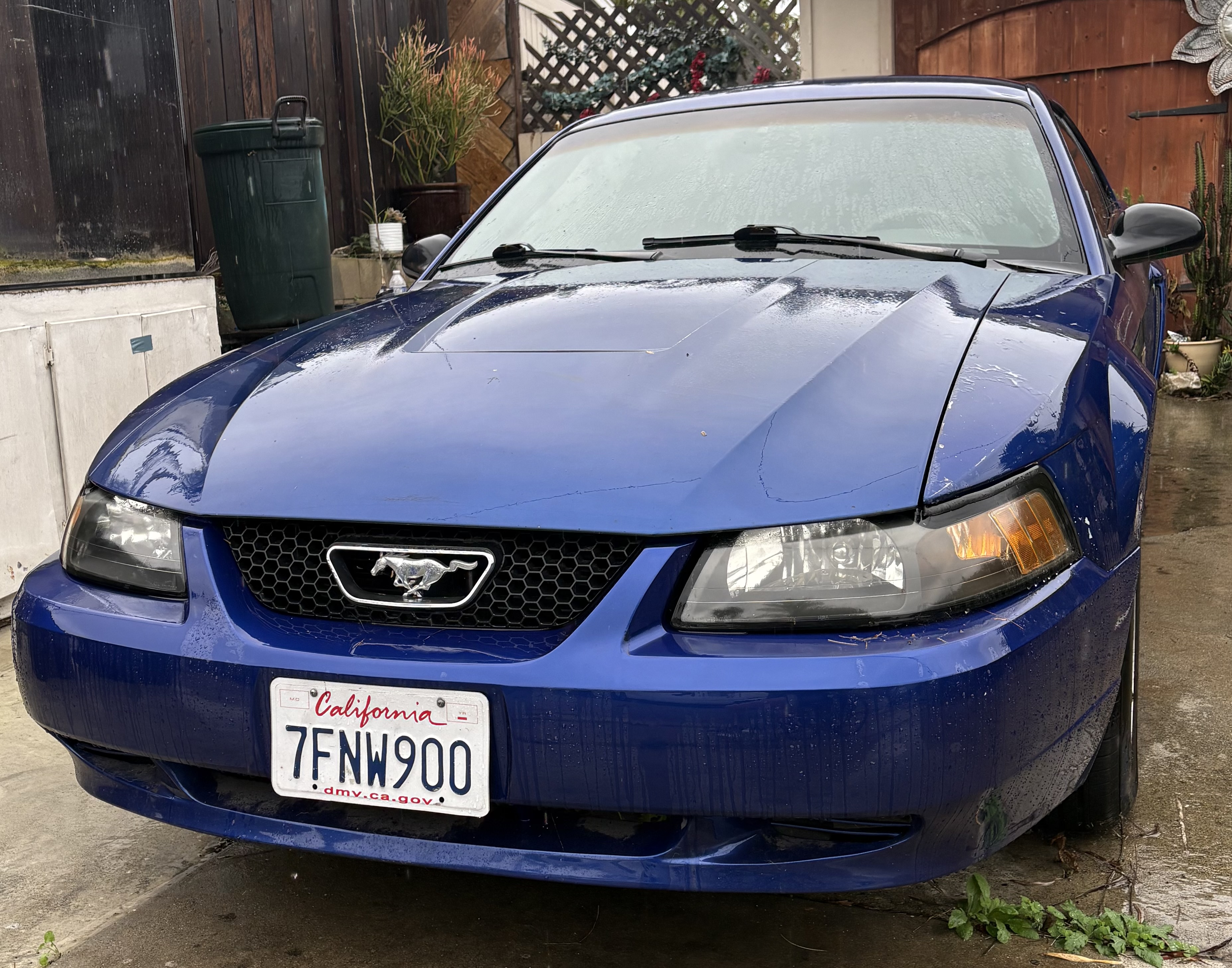 Used 2004 Ford Mustang Coupe