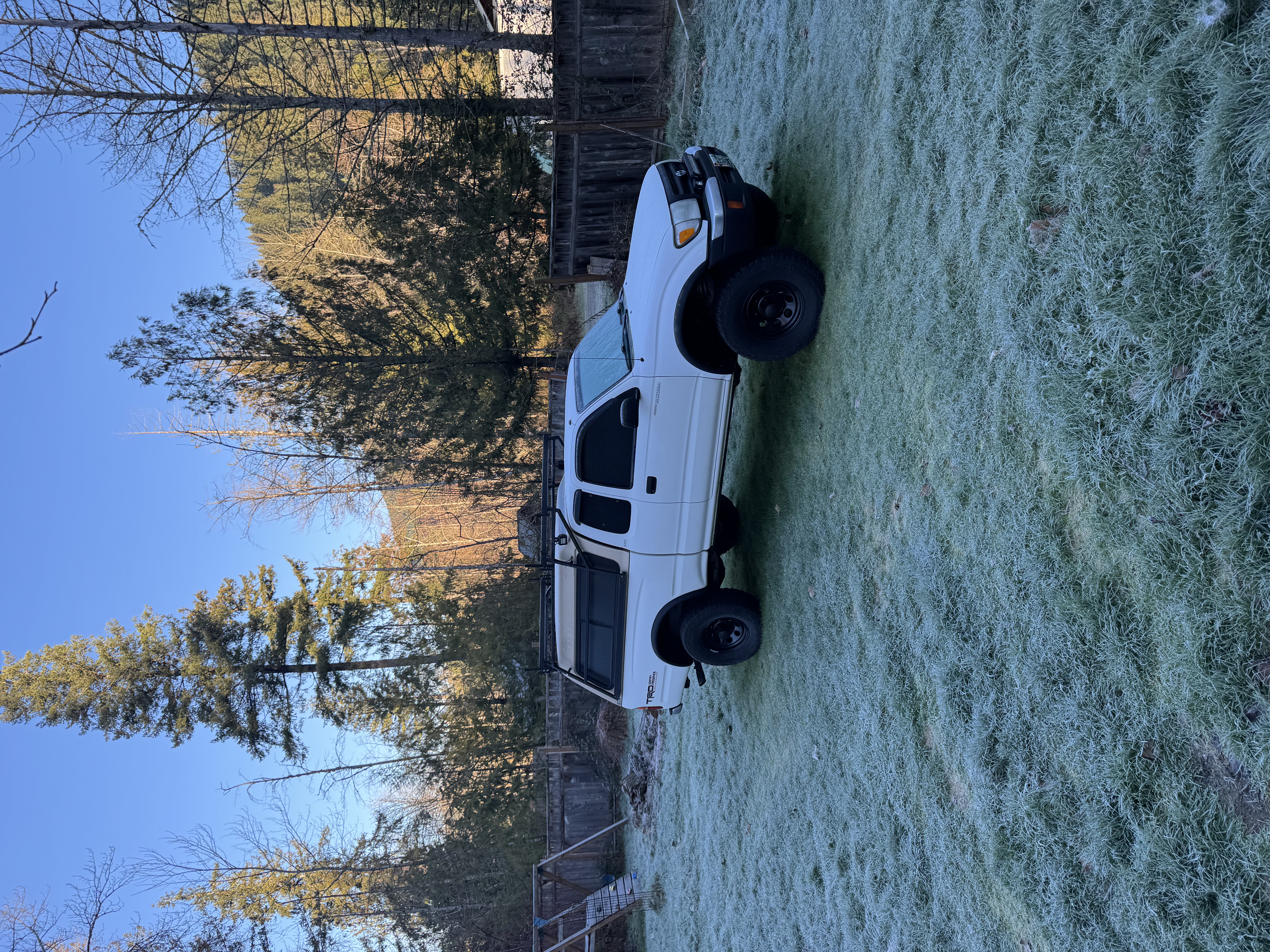 Used 1999 Toyota Tacoma Pickup