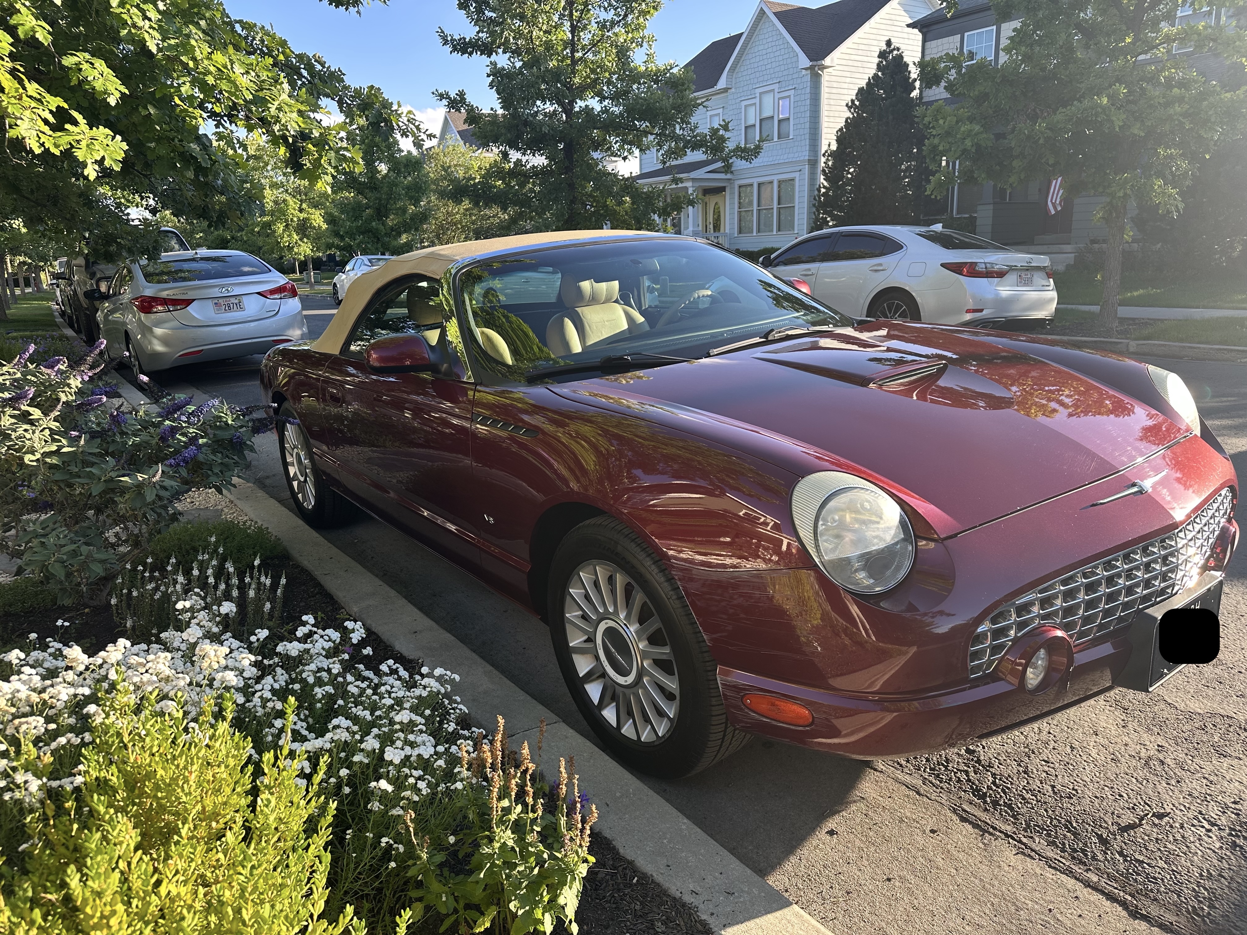 Ford Thunderbird 2004 photo 4