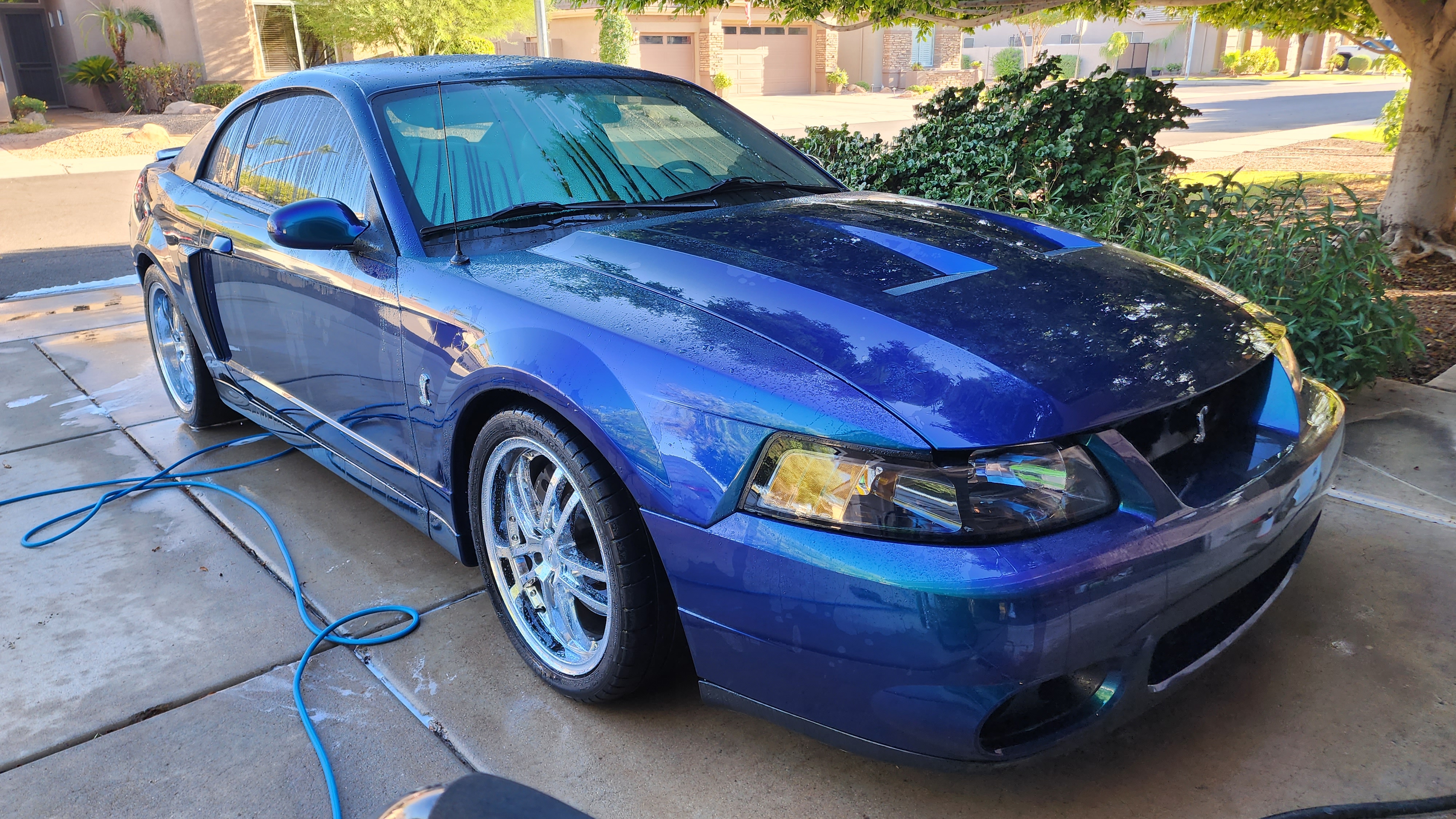 2004 Ford Mustang Cobra