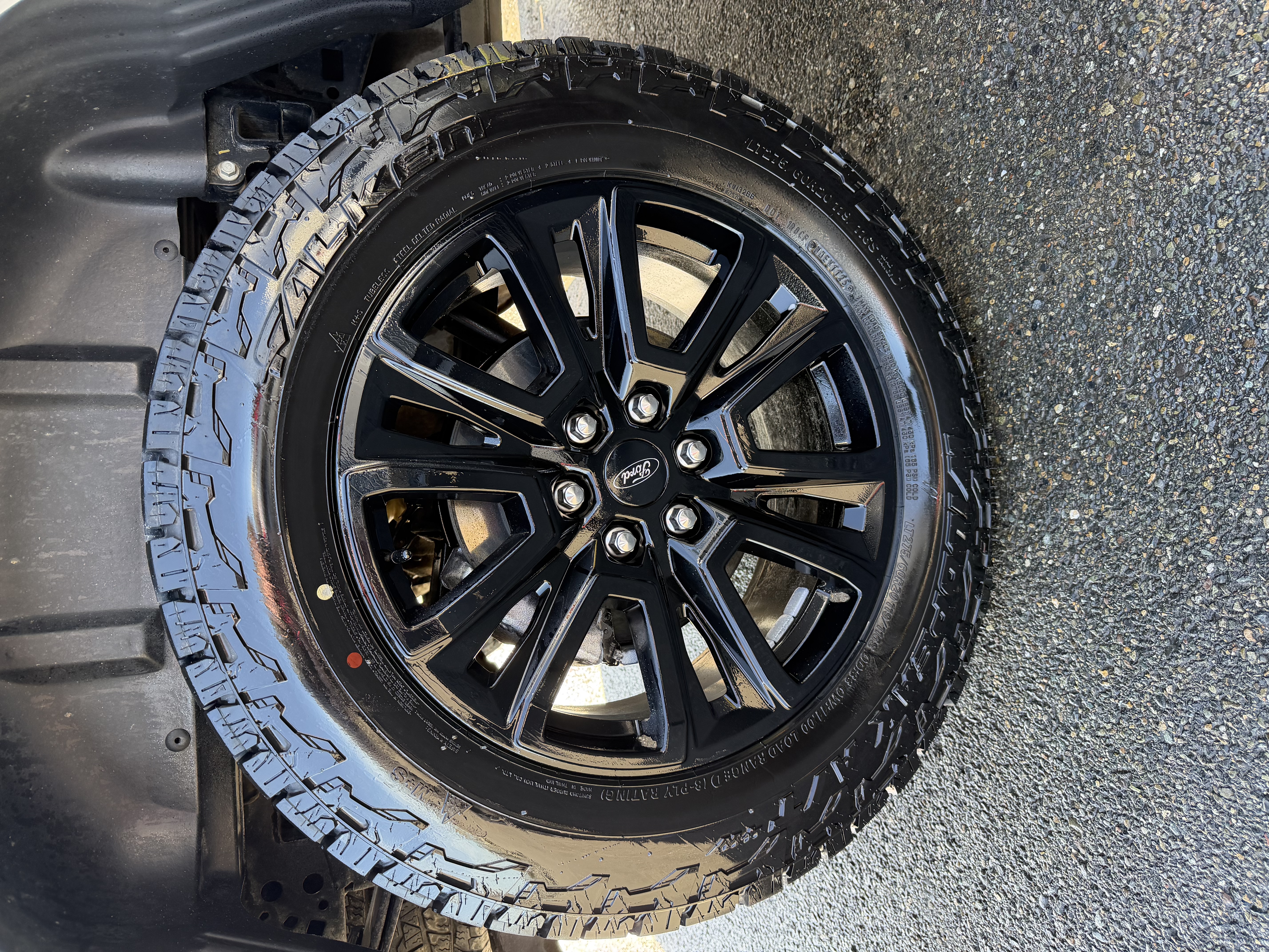 2024 Ford F150 Platinum