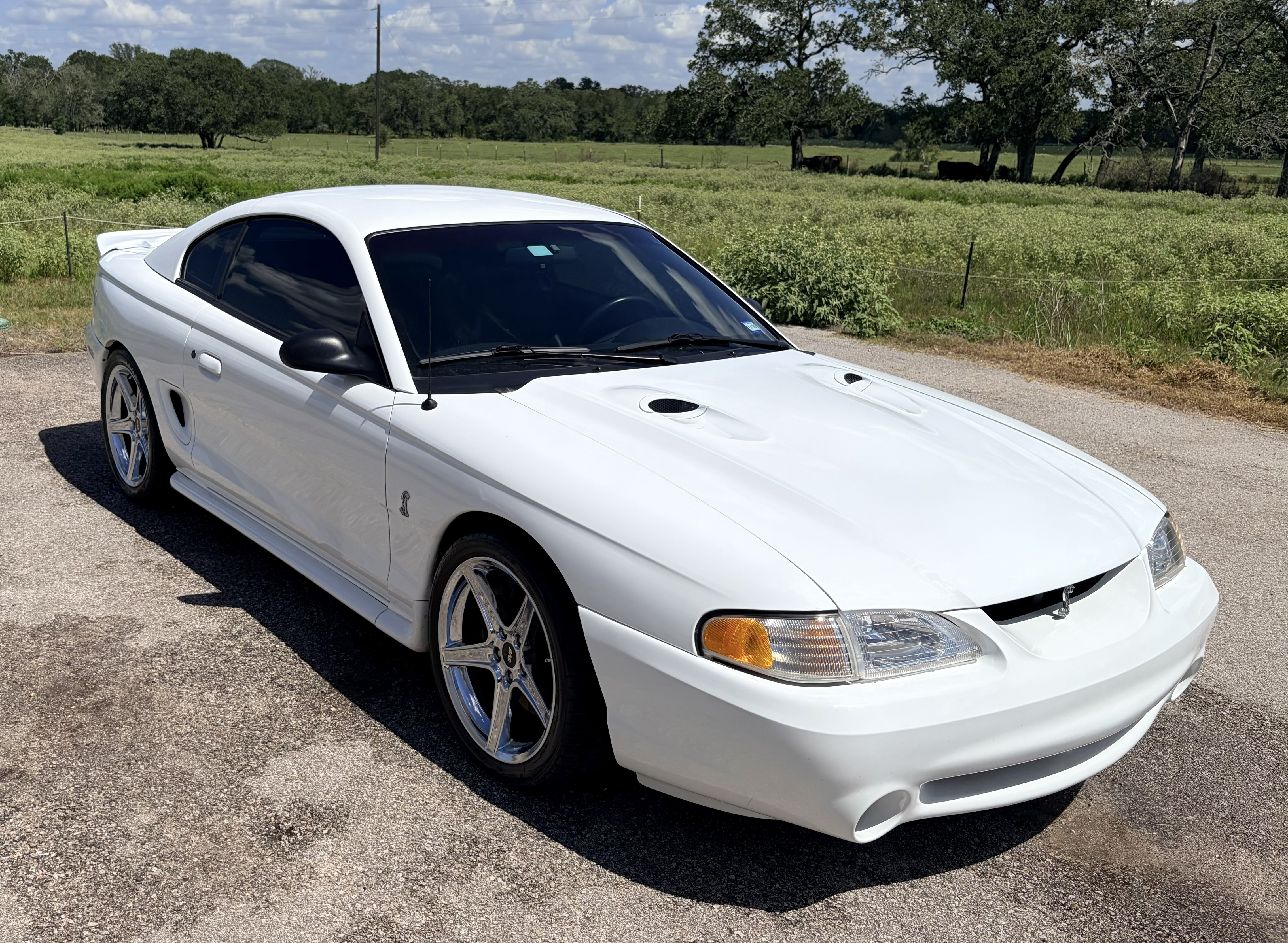 Used 1998 Ford Mustang Cobra