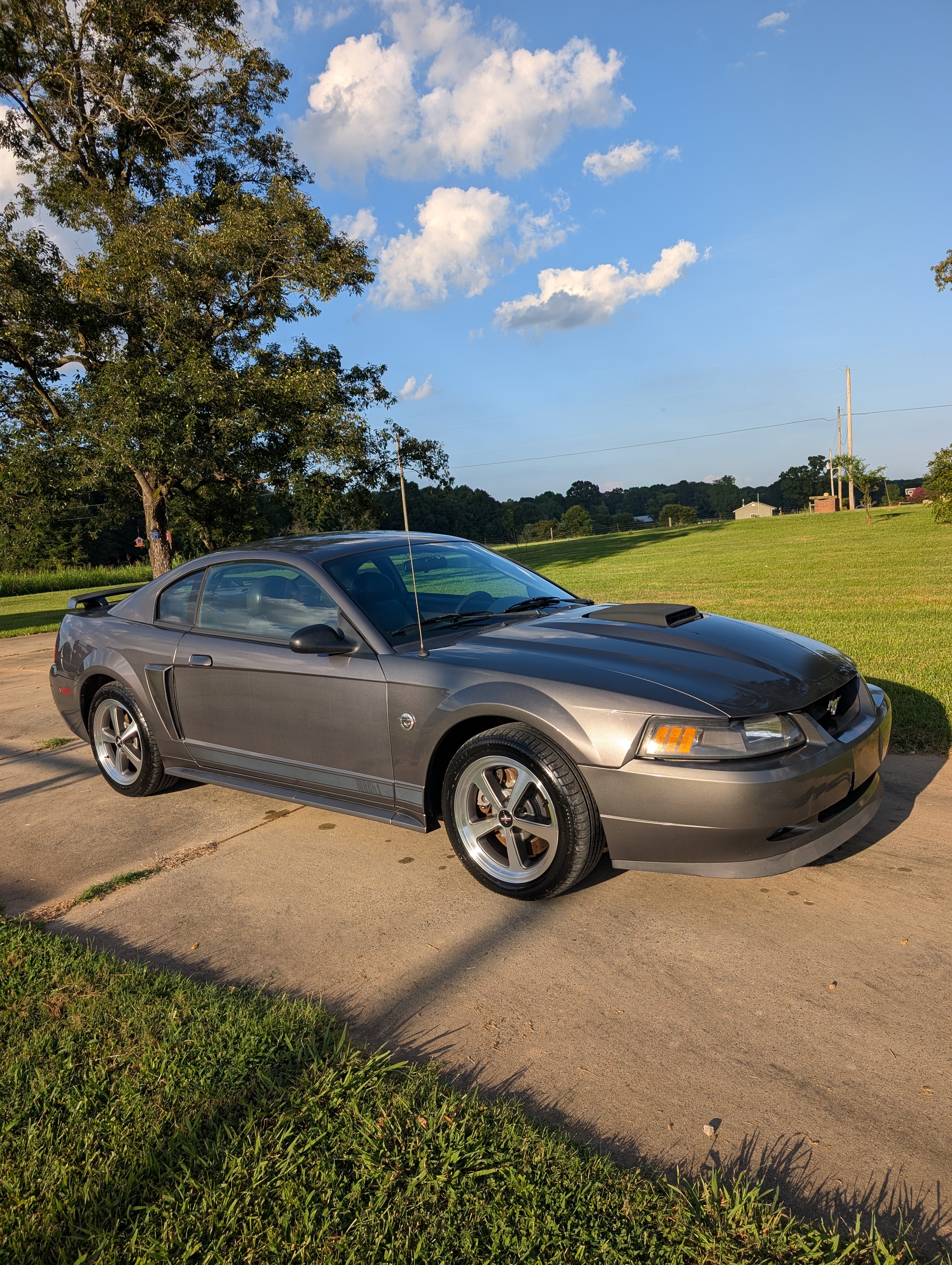 Used 2004 Ford Mustang Mach 1