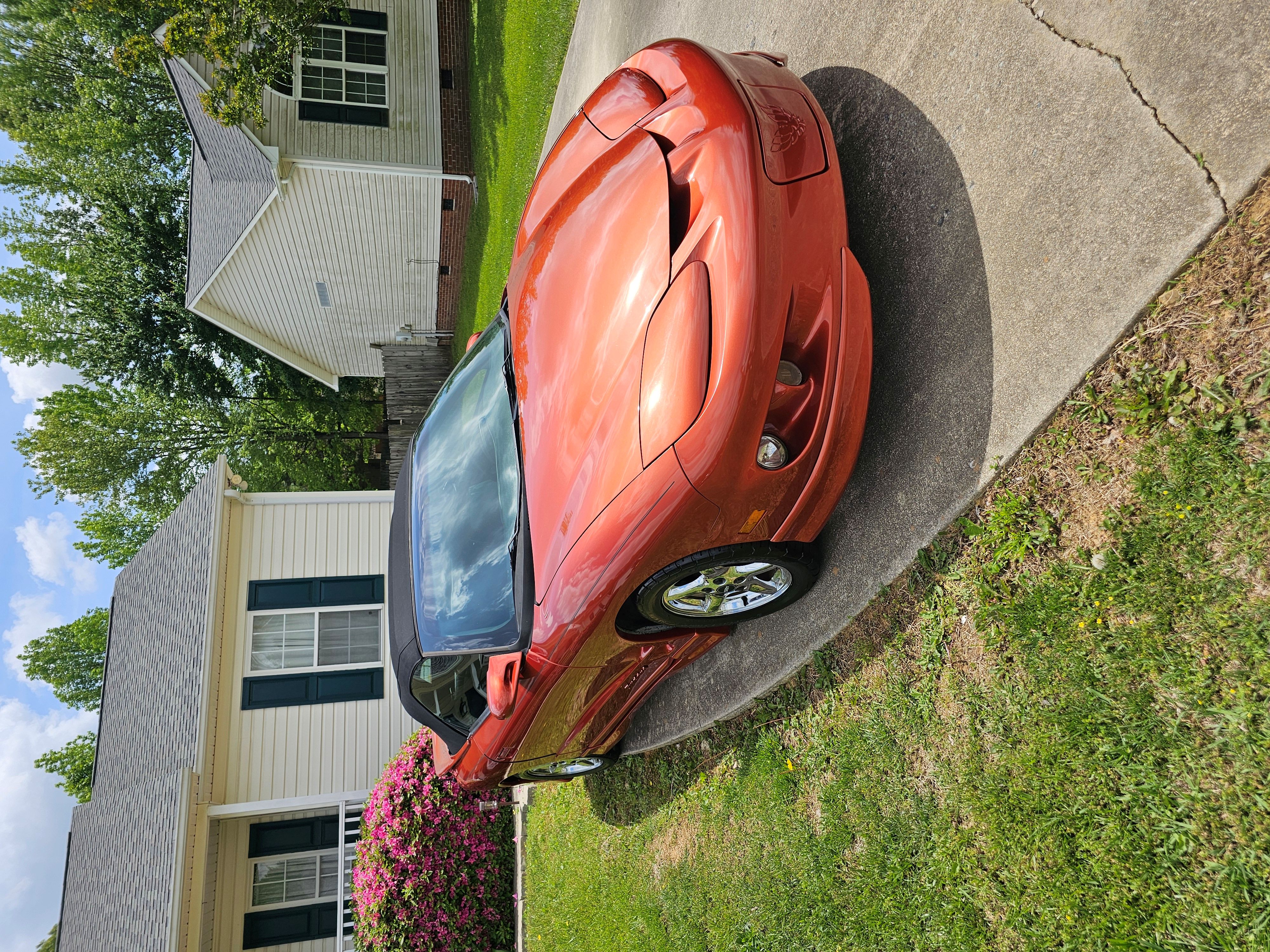 Used 2002 Pontiac Firebird Convertible w/ Sport Appearance Pkg