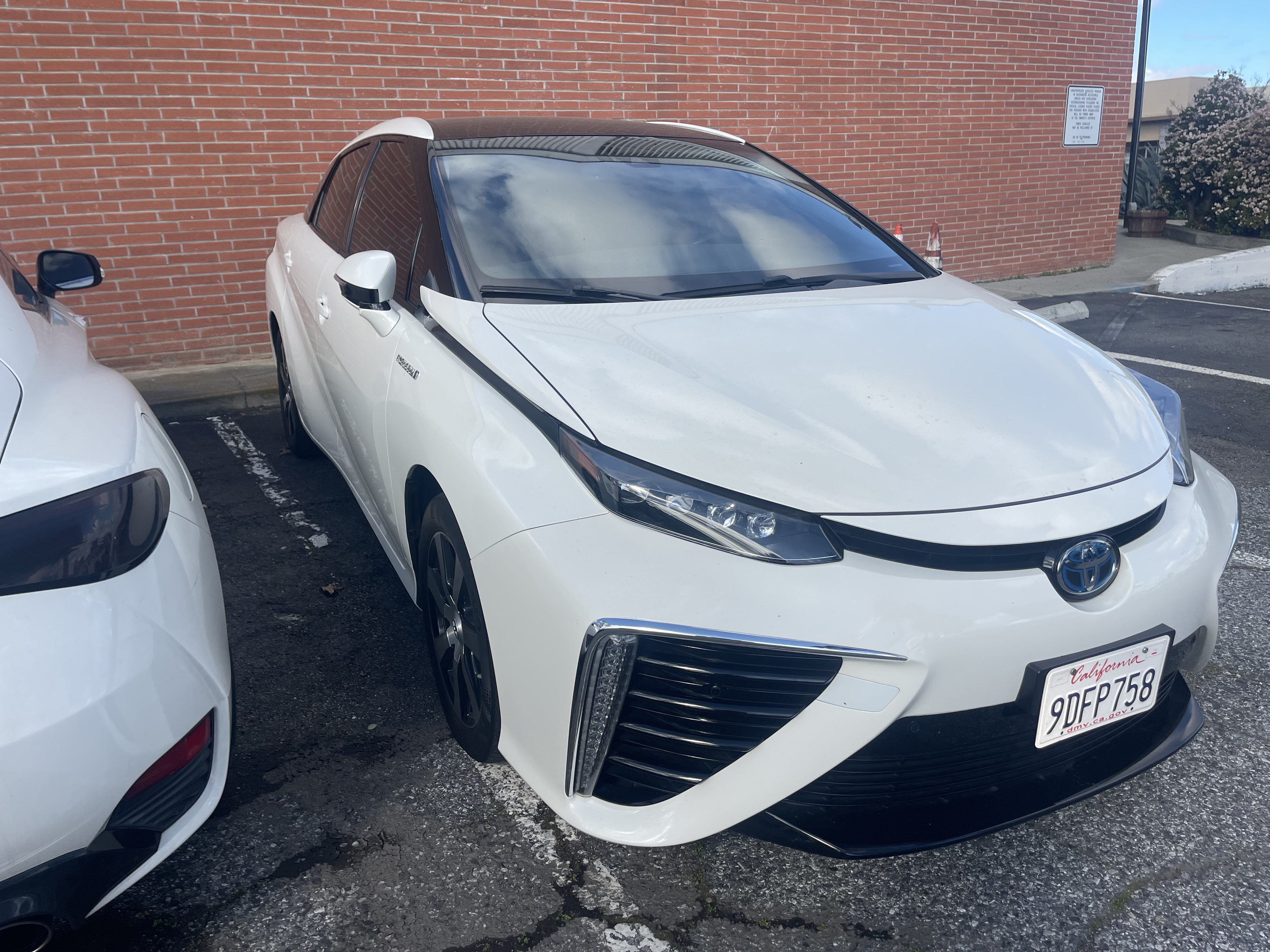 Used 2019 Toyota Mirai for Sale Near Me - Autotrader