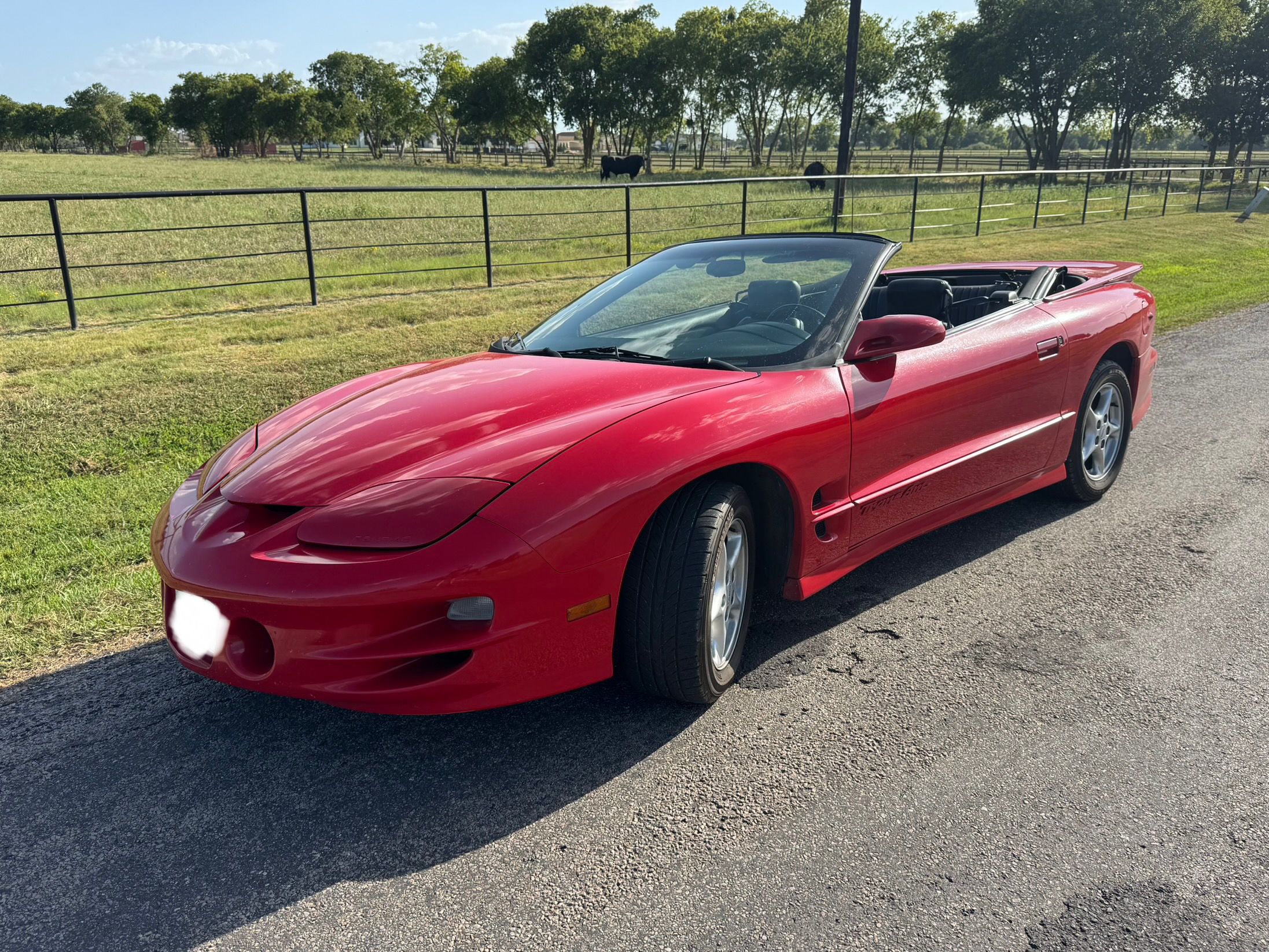 Used 2002 Pontiac Firebird Trans Am