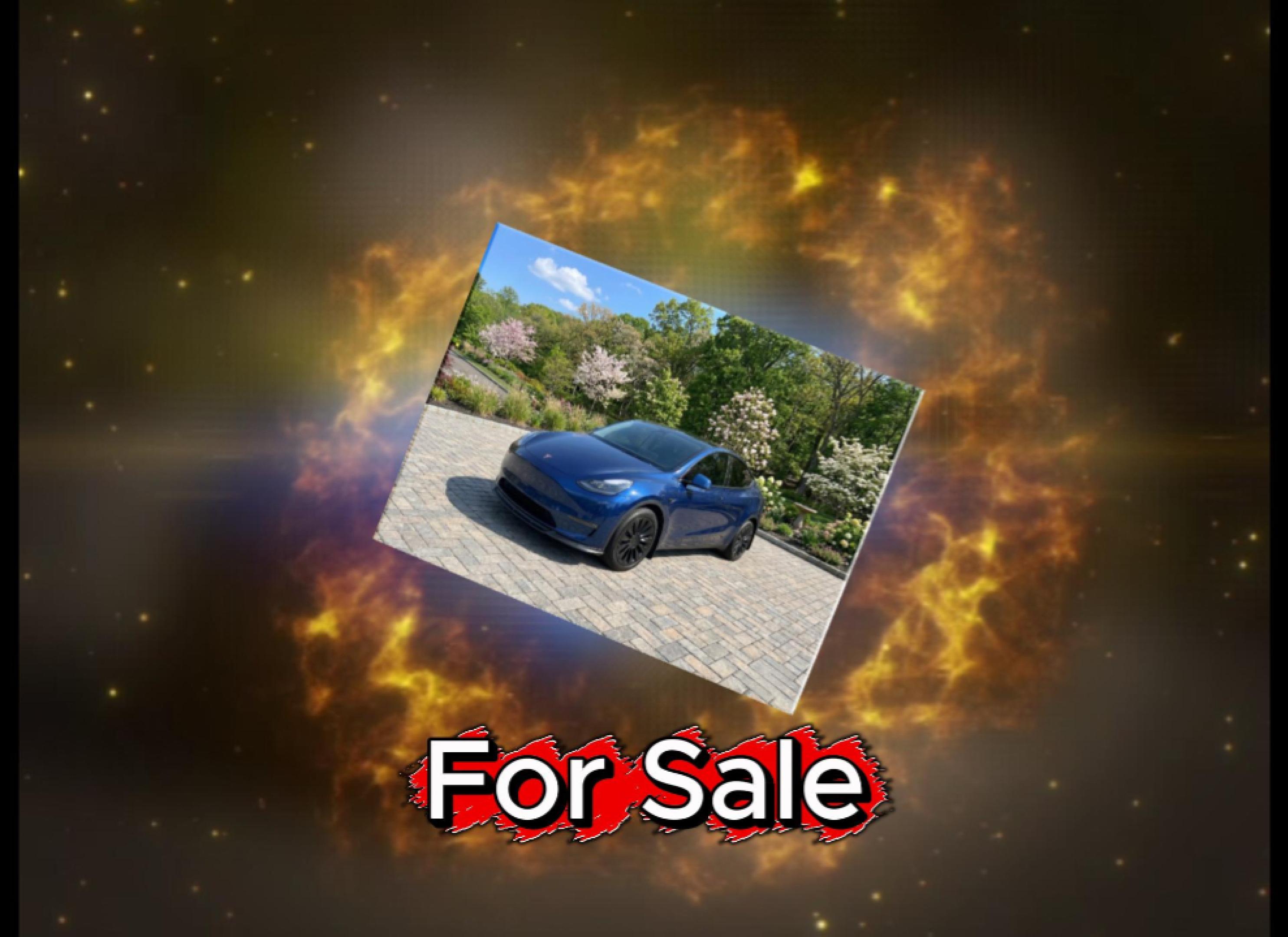 2023 Tesla Model Y Long Range