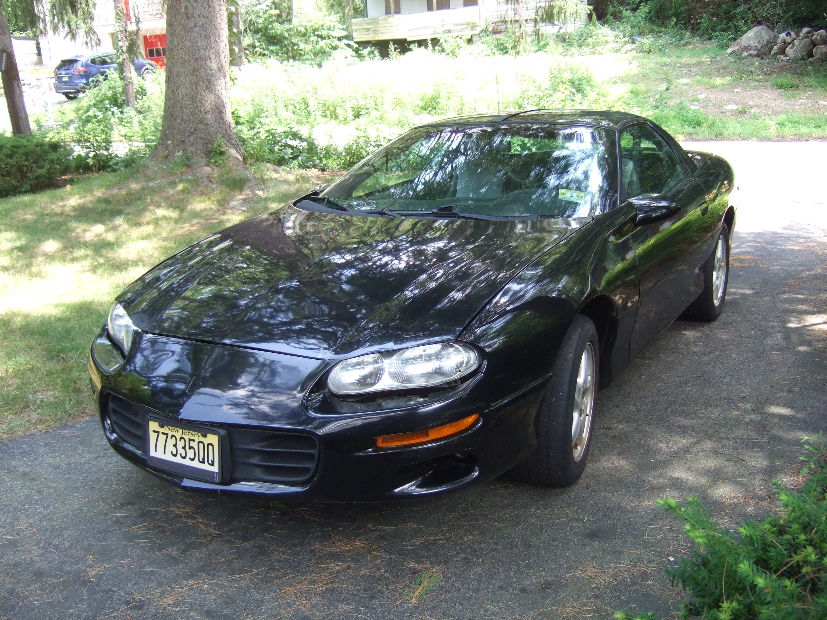 Photo 5
