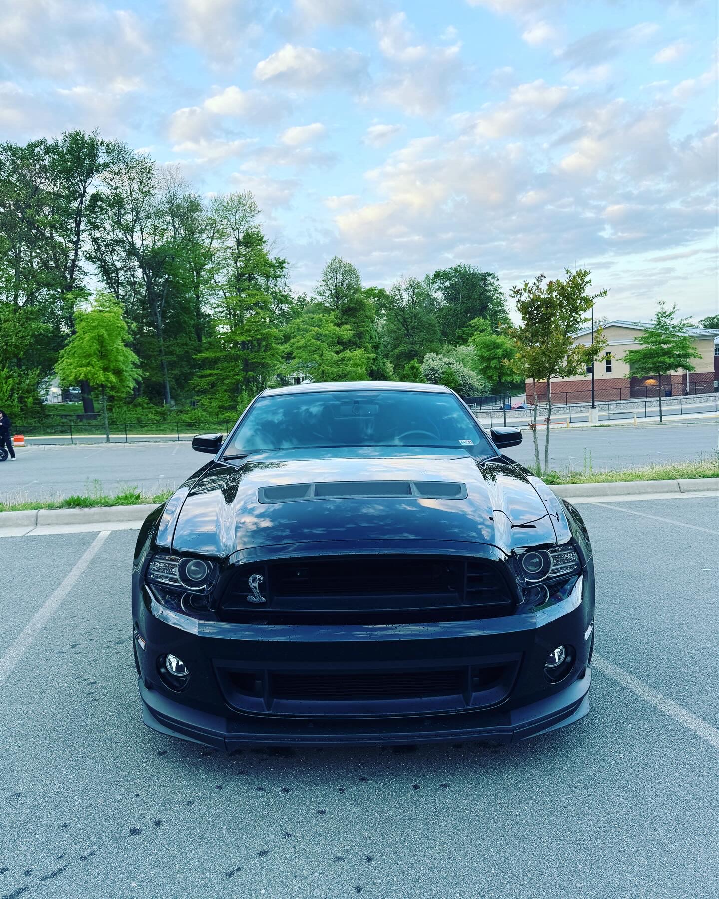 Used 2014 Ford Mustang Shelby GT500 w/ Equipment Group 821A