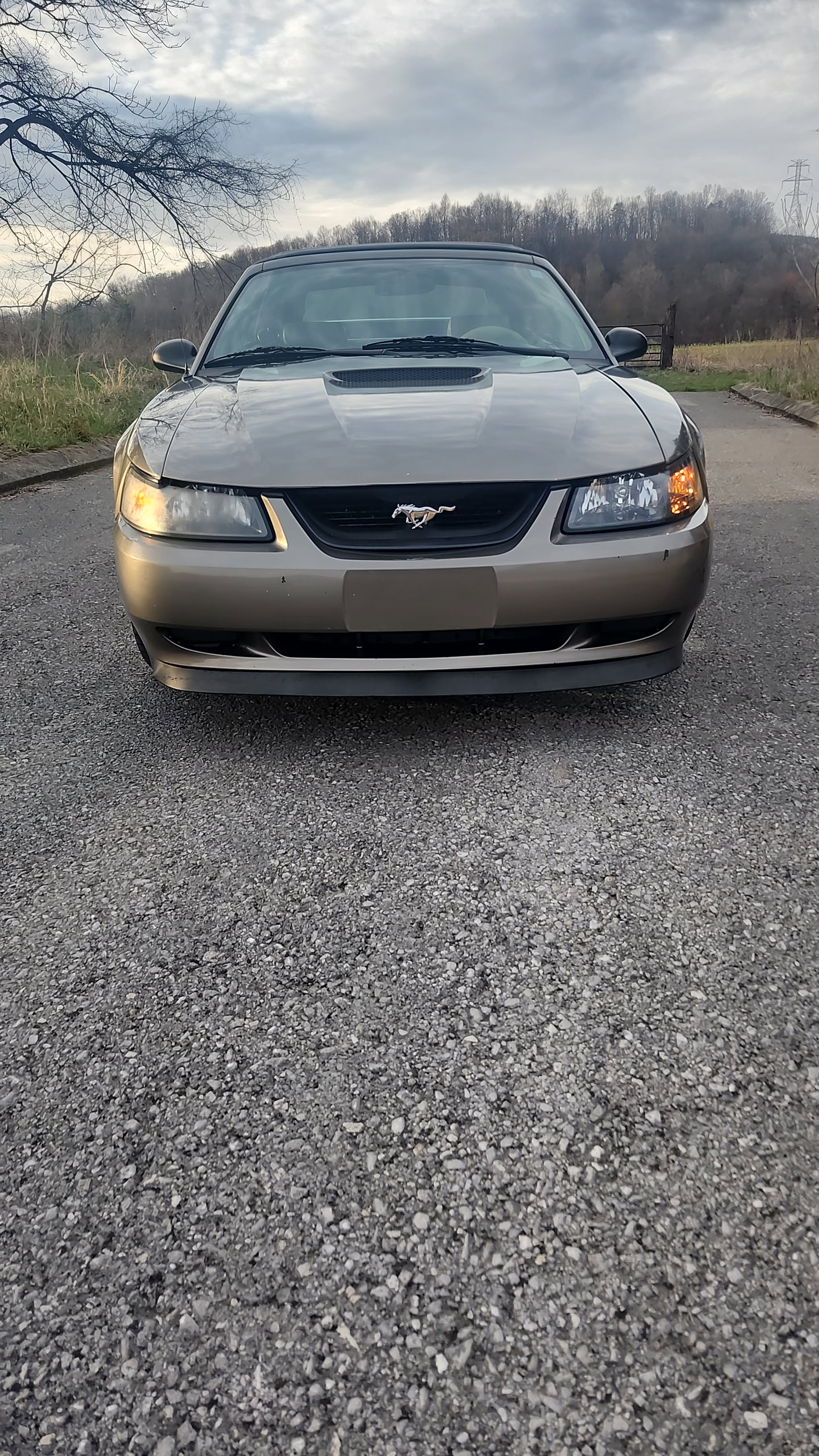 Used 2002 Ford Mustang Convertible