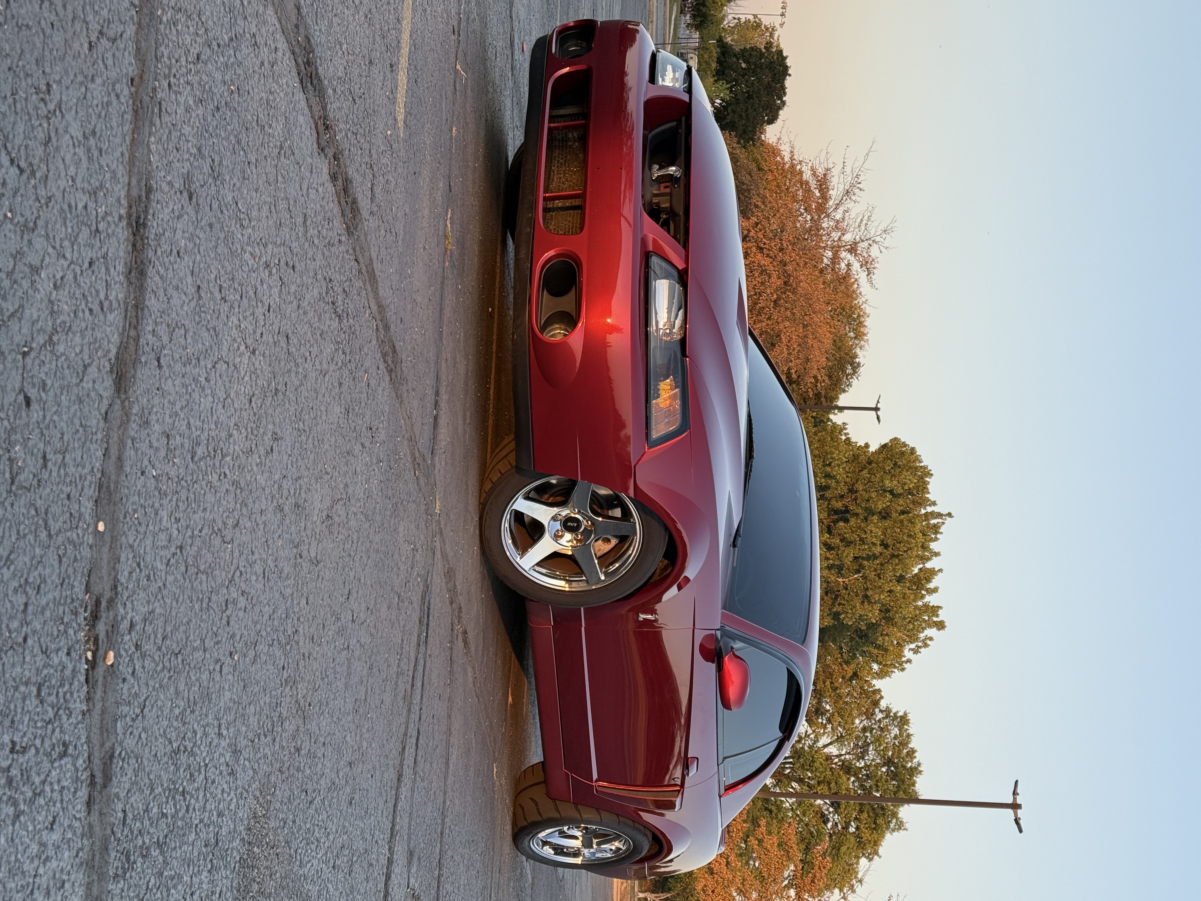 Used 2003 Ford Mustang Cobra